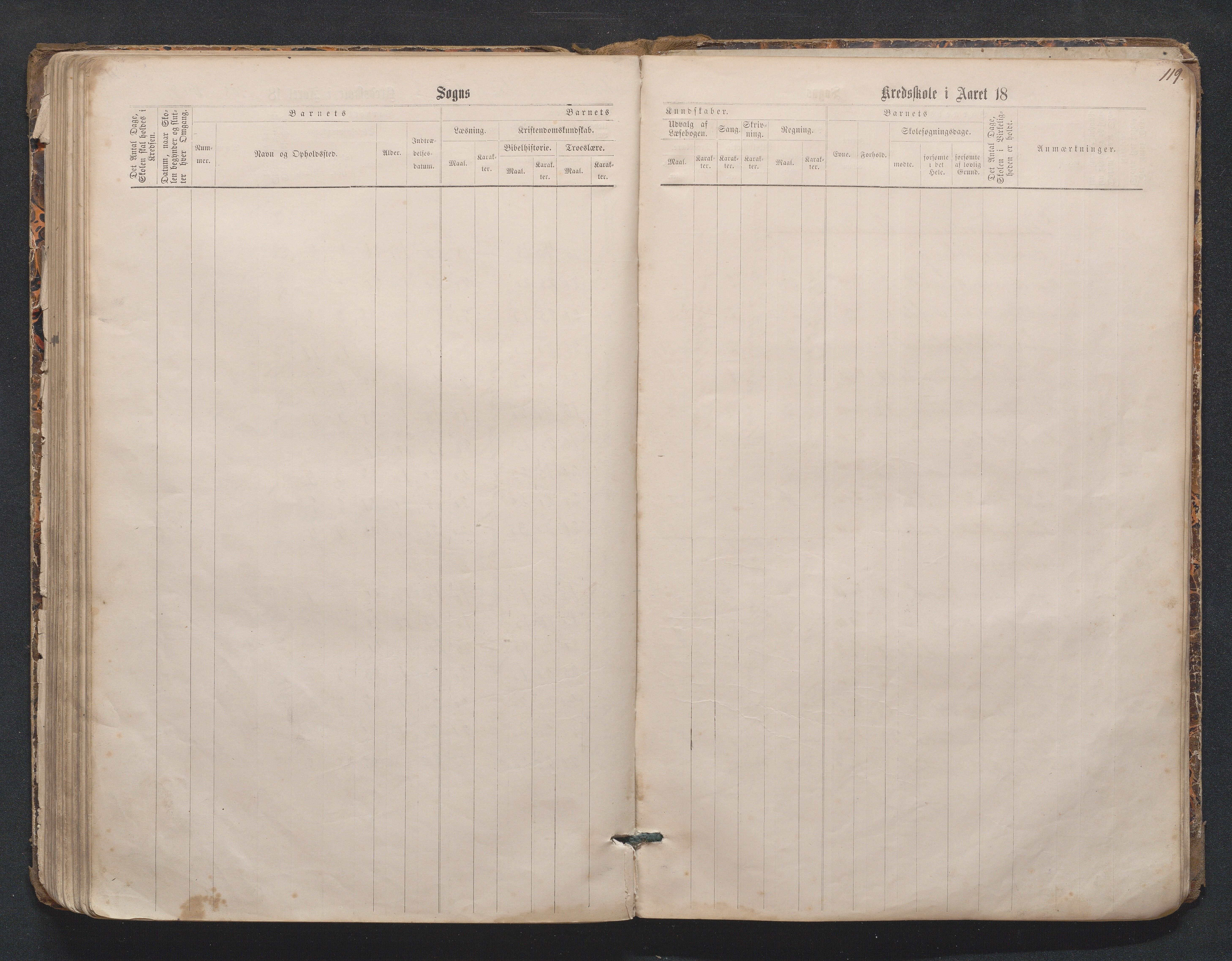 Birkenes kommune, Mosfjell skolekrets, AAKS/KA0928-550f_91/F02/L0001: Skoleprotokoll Flå og Mosfjell, 1867-1909, p. 119