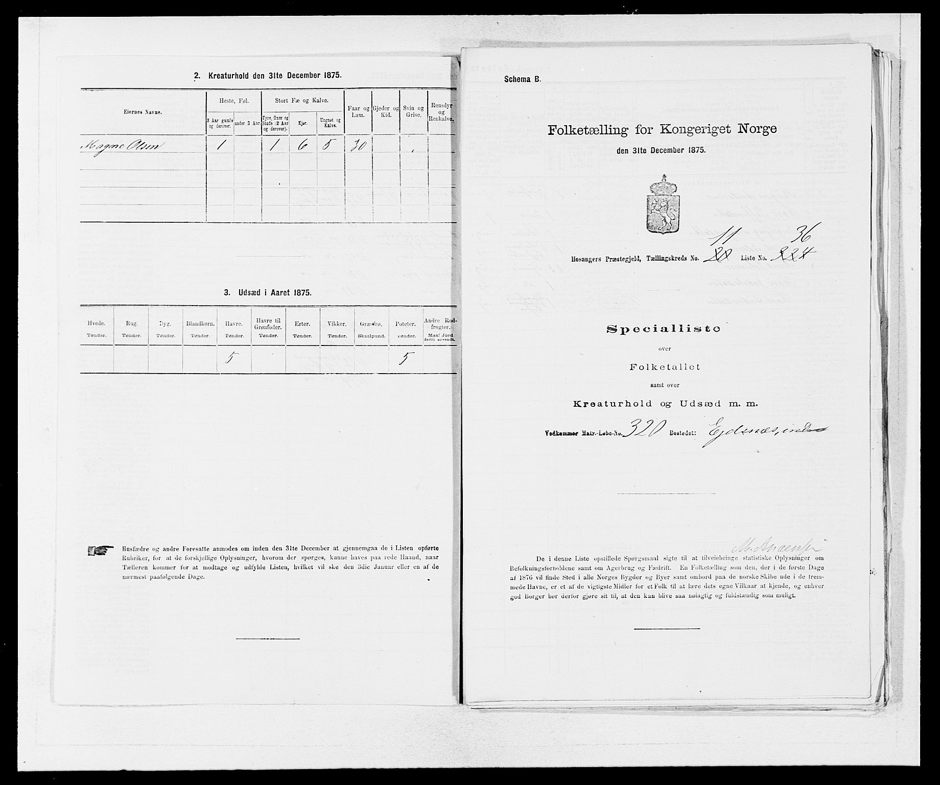 SAB, 1875 census for 1253P Hosanger, 1875, p. 845