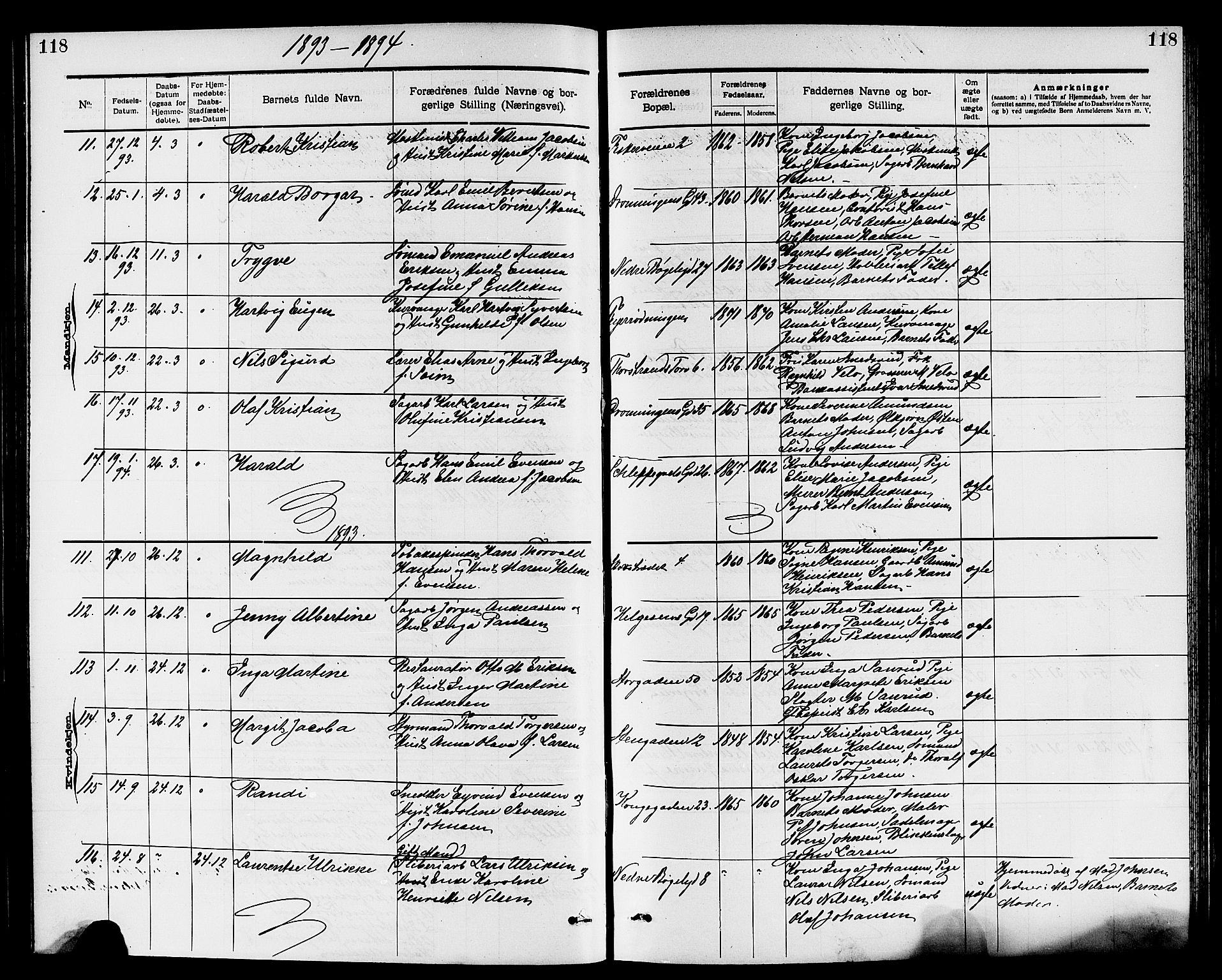 Larvik kirkebøker, AV/SAKO-A-352/G/Ga/L0005: Parish register (copy) no. I 5, 1888-1909, p. 118