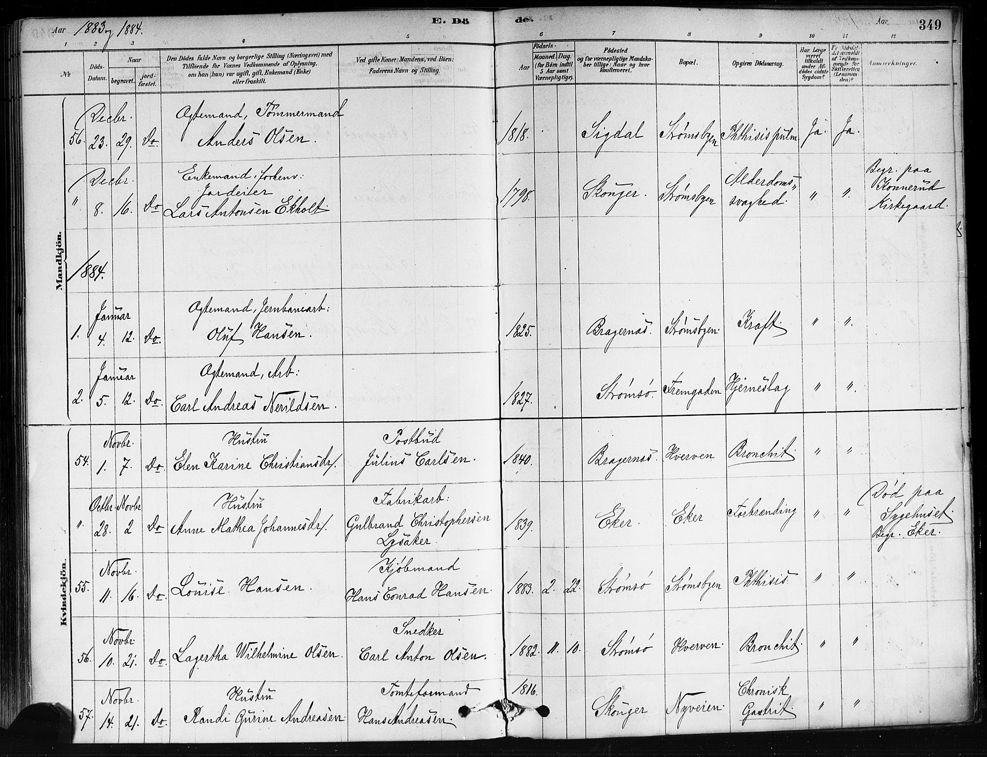 Strømsø kirkebøker, SAKO/A-246/F/Fa/L0021: Parish register (official) no. I 21, 1878-1885, p. 349