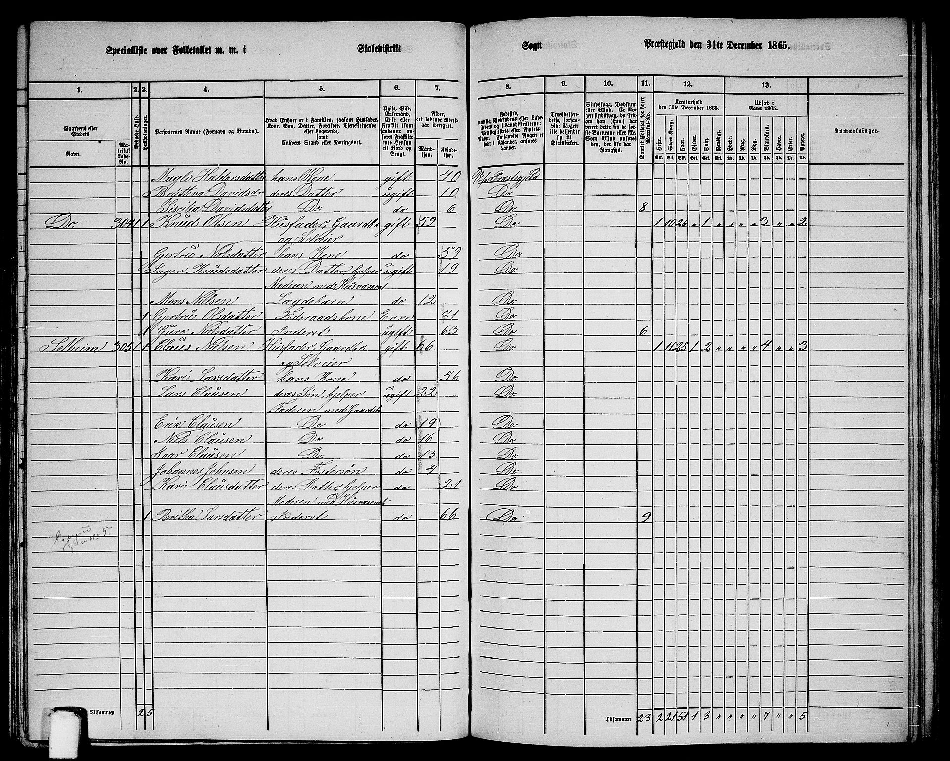 RA, 1865 census for Voss, 1865, p. 124