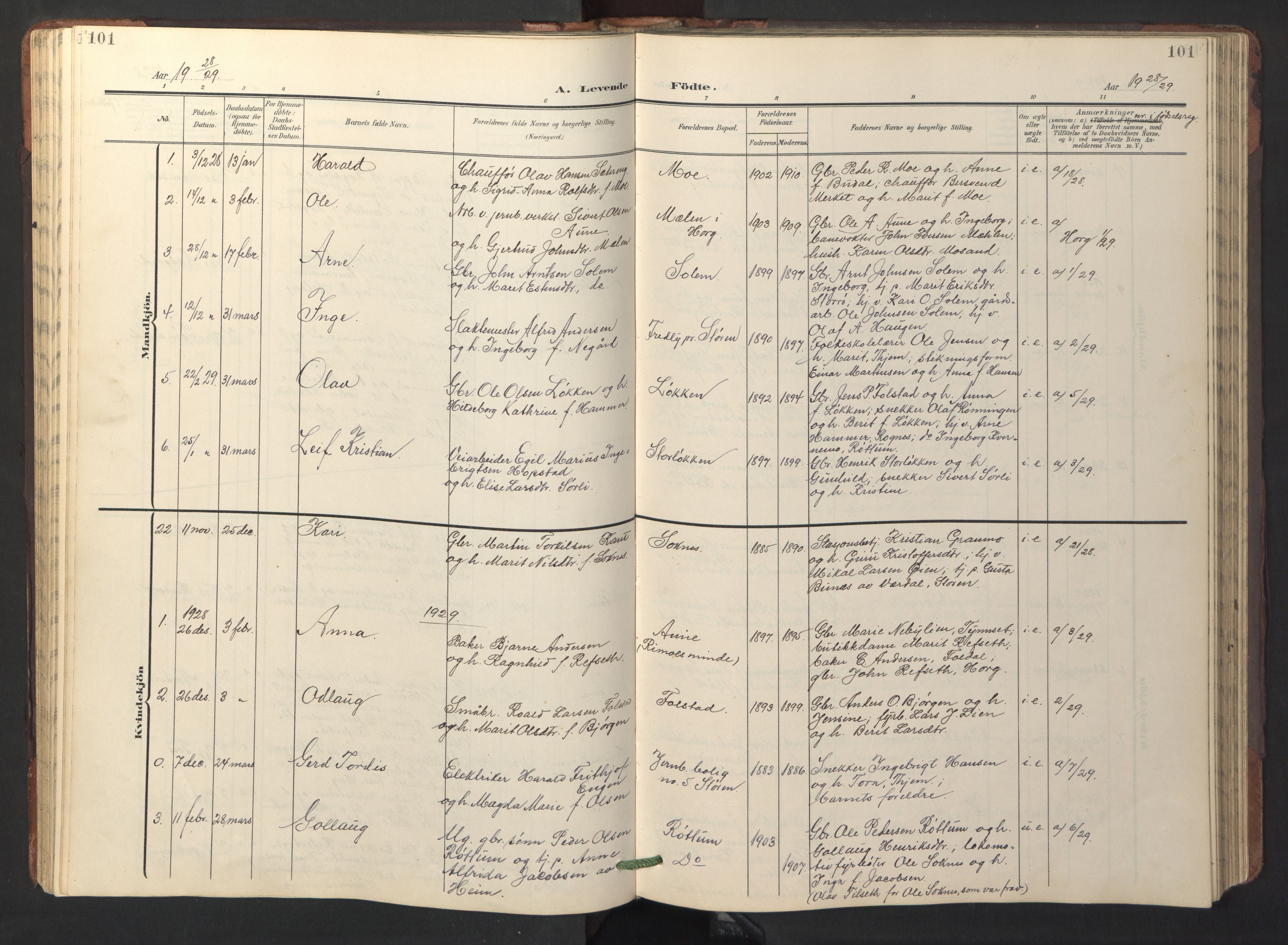 Ministerialprotokoller, klokkerbøker og fødselsregistre - Sør-Trøndelag, SAT/A-1456/687/L1019: Parish register (copy) no. 687C03, 1904-1931, p. 101