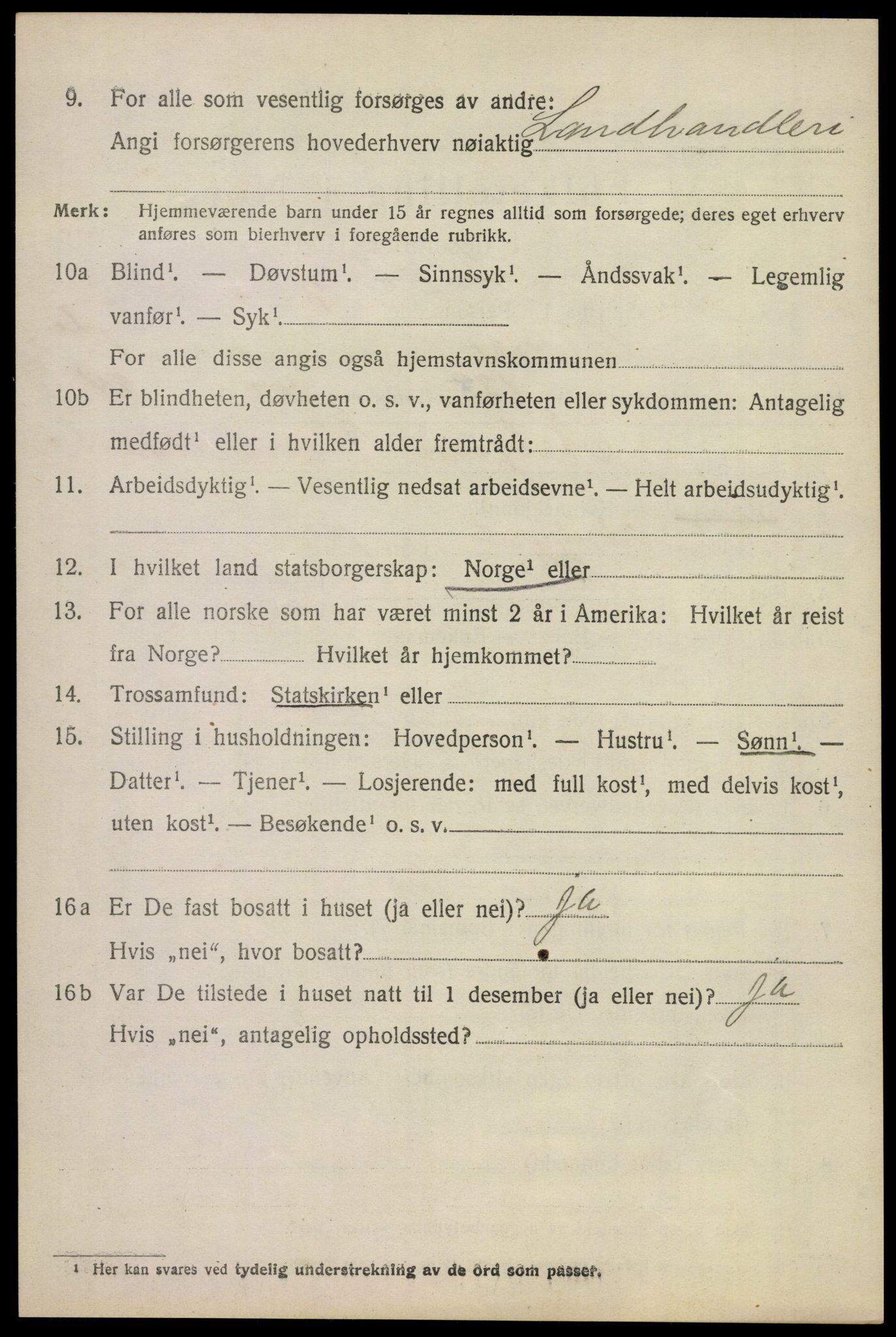 SAKO, 1920 census for Borre, 1920, p. 3965