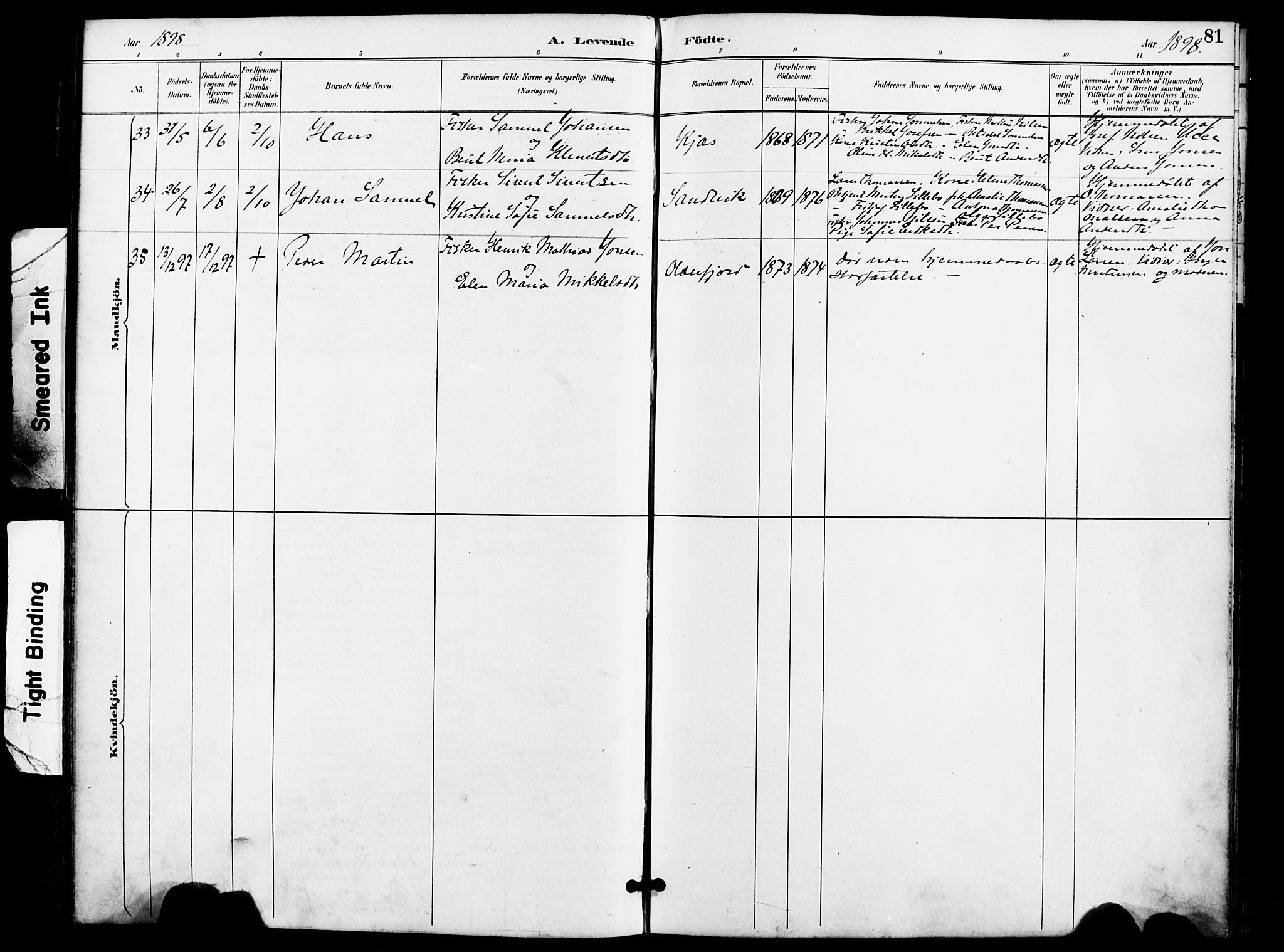 Kistrand/Porsanger sokneprestembete, AV/SATØ-S-1351/H/Ha/L0008.kirke: Parish register (official) no. 8, 1890-1898, p. 81