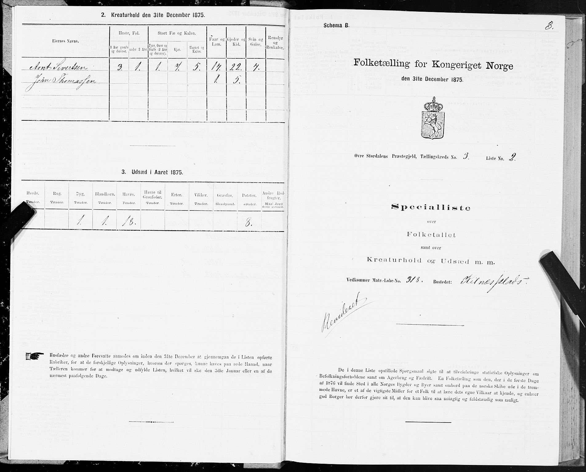 SAT, 1875 census for 1711P Øvre Stjørdal, 1875, p. 2003