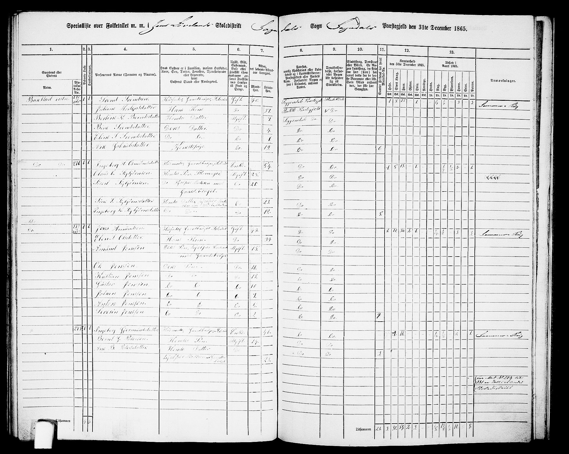 RA, 1865 census for Sokndal, 1865, p. 115