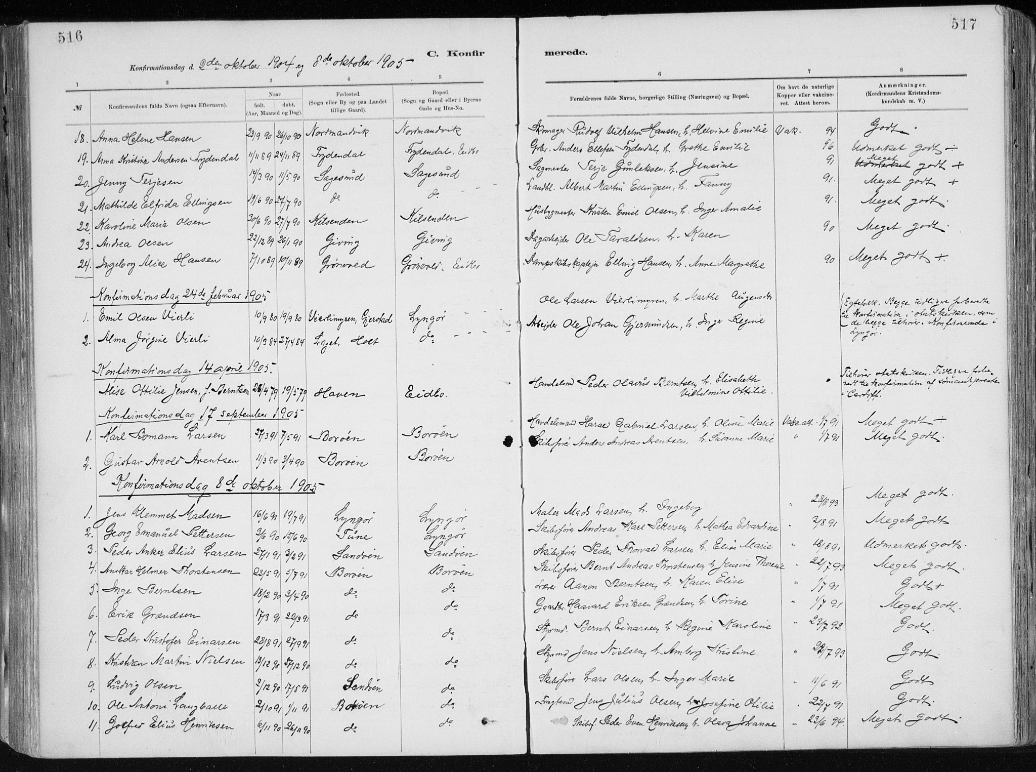 Dypvåg sokneprestkontor, SAK/1111-0007/F/Fa/Faa/L0008: Parish register (official) no. A 8, 1885-1906, p. 516-517