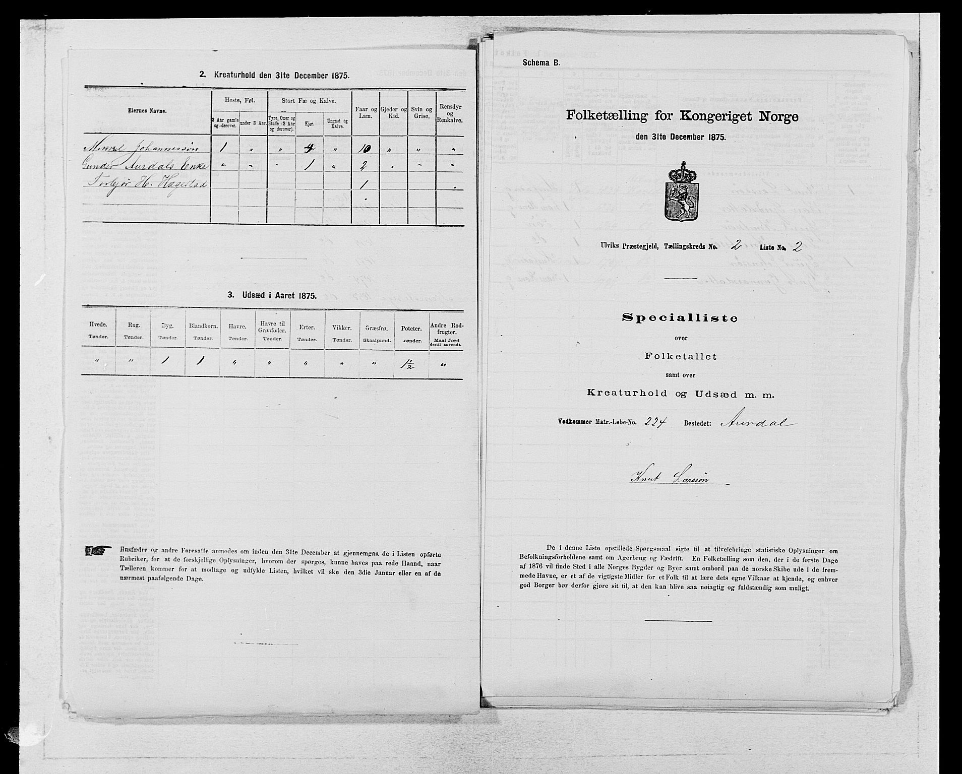 SAB, 1875 census for 1233P Ulvik, 1875, p. 305