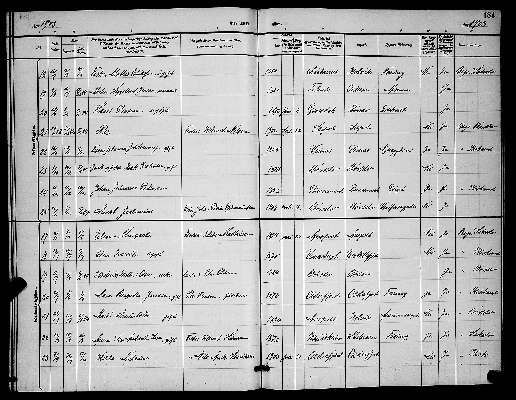 Kistrand/Porsanger sokneprestembete, AV/SATØ-S-1351/H/Hb/L0005.klokk: Parish register (copy) no. 5, 1895-1904, p. 184