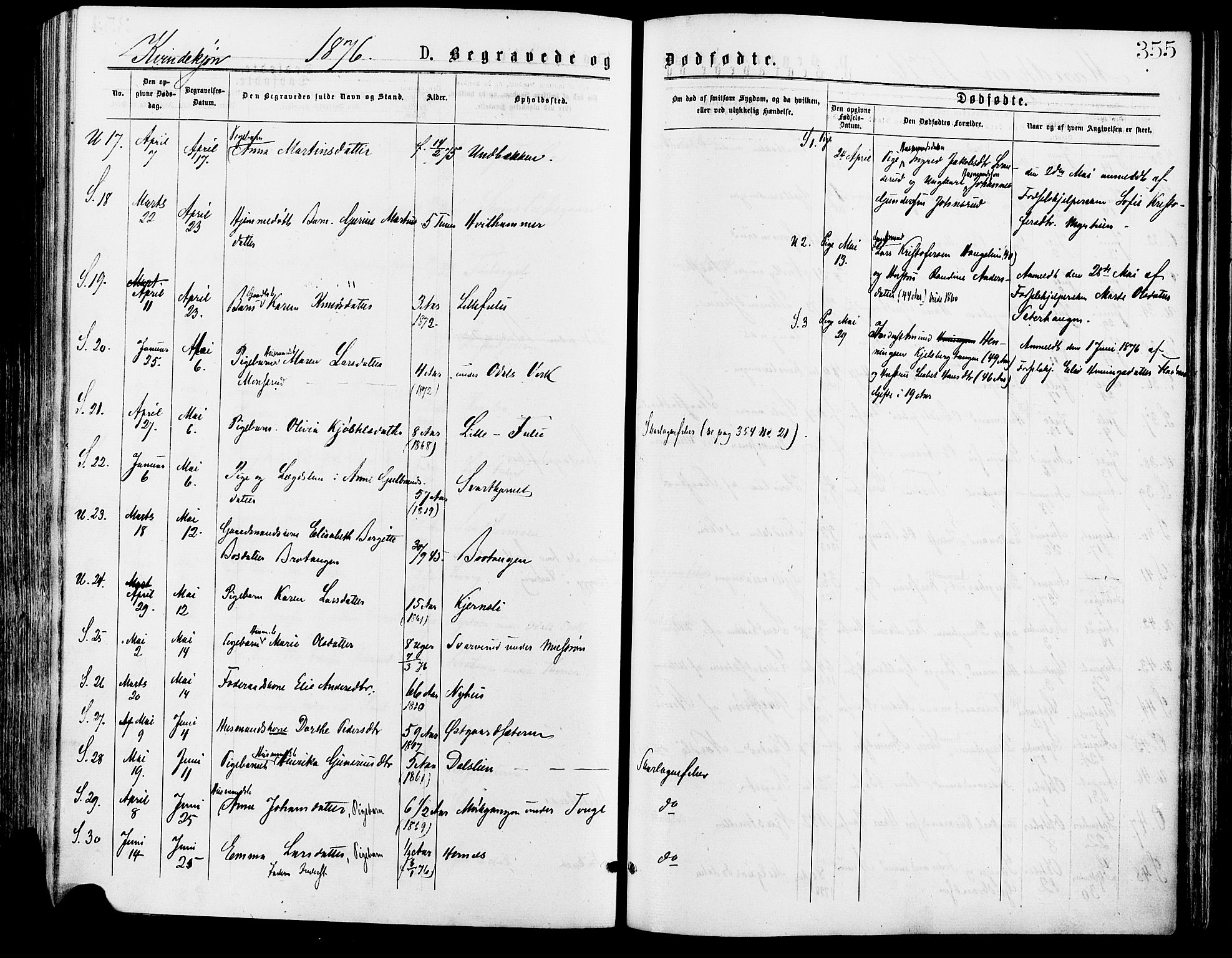 Sør-Odal prestekontor, AV/SAH-PREST-030/H/Ha/Haa/L0005: Parish register (official) no. 5, 1876-1885, p. 355