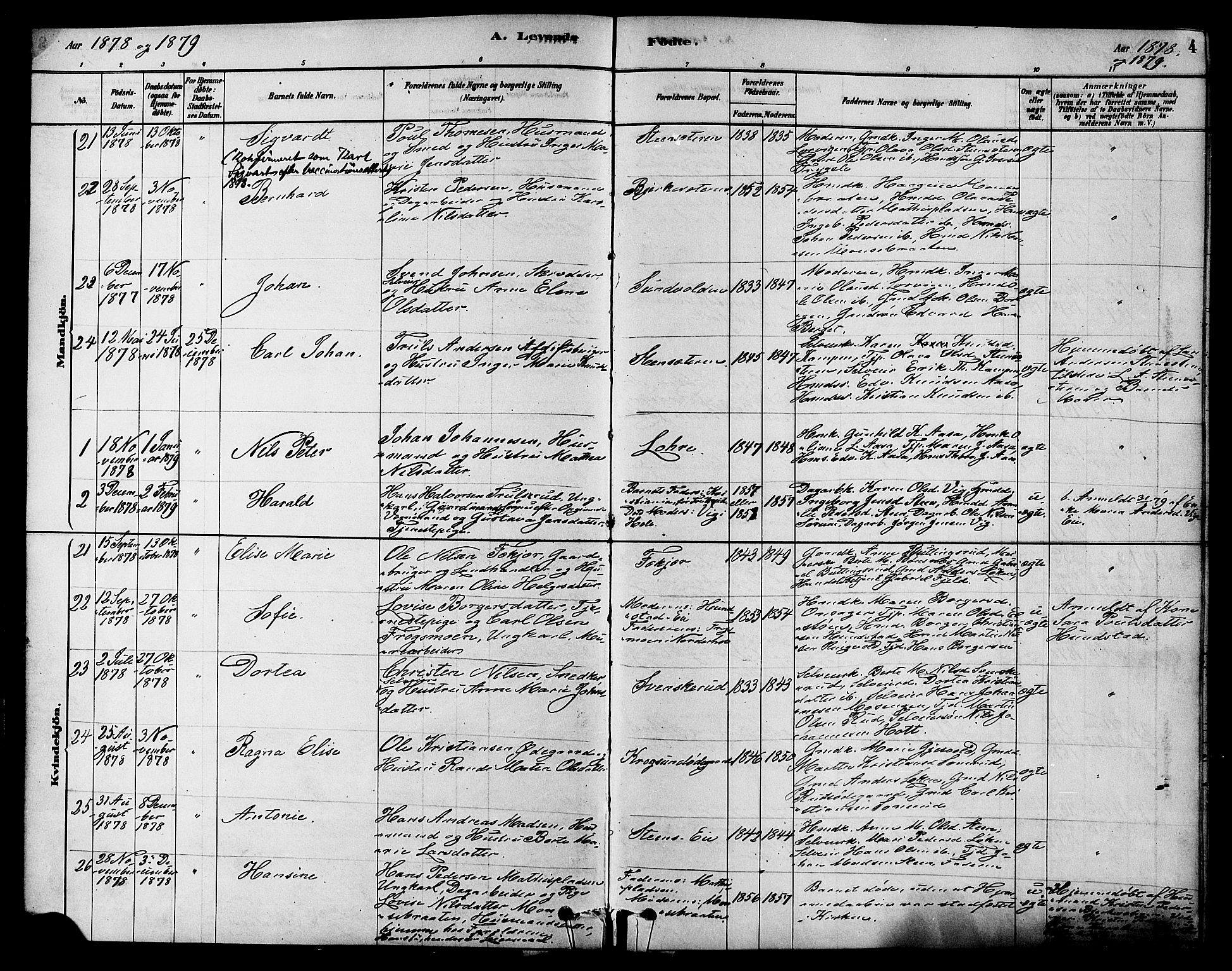 Hole kirkebøker, SAKO/A-228/F/Fa/L0008: Parish register (official) no. I 8, 1878-1891, p. 4