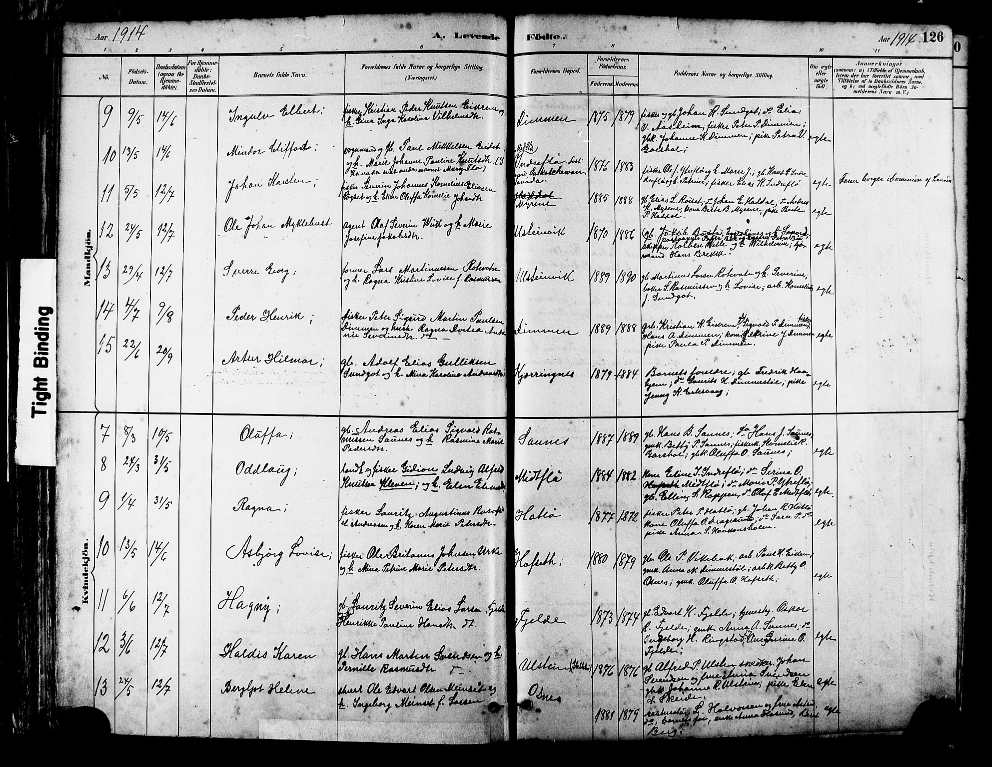 Ministerialprotokoller, klokkerbøker og fødselsregistre - Møre og Romsdal, SAT/A-1454/509/L0112: Parish register (copy) no. 509C02, 1883-1922, p. 126