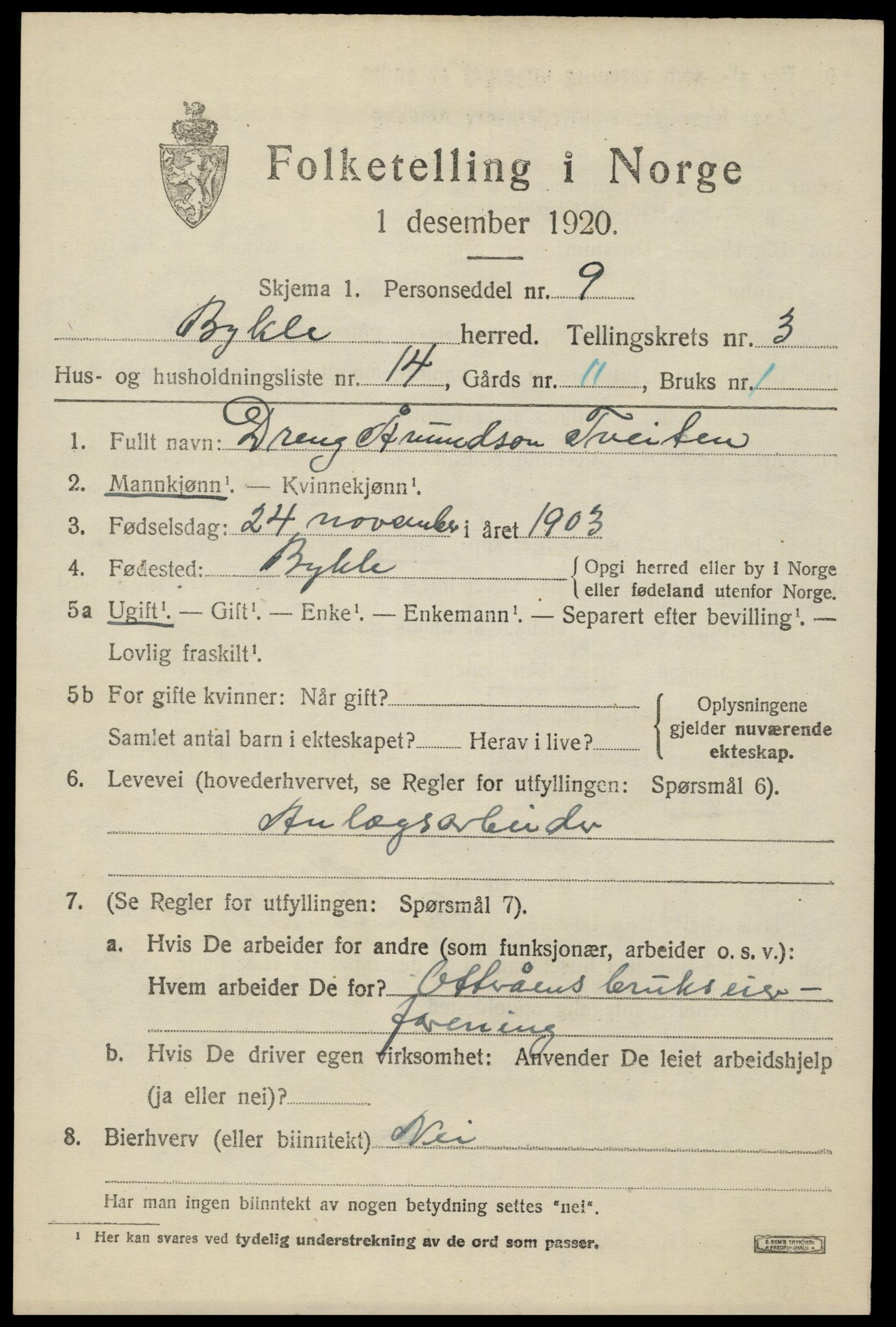 SAK, 1920 census for Bykle, 1920, p. 1191