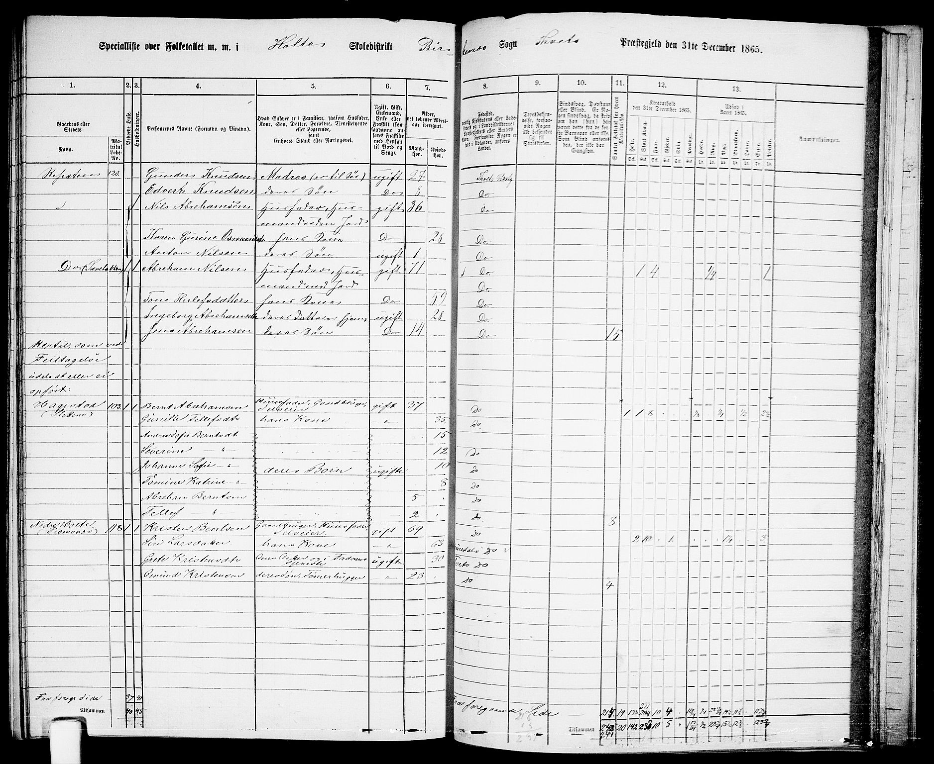 RA, 1865 census for Tveit, 1865, p. 133