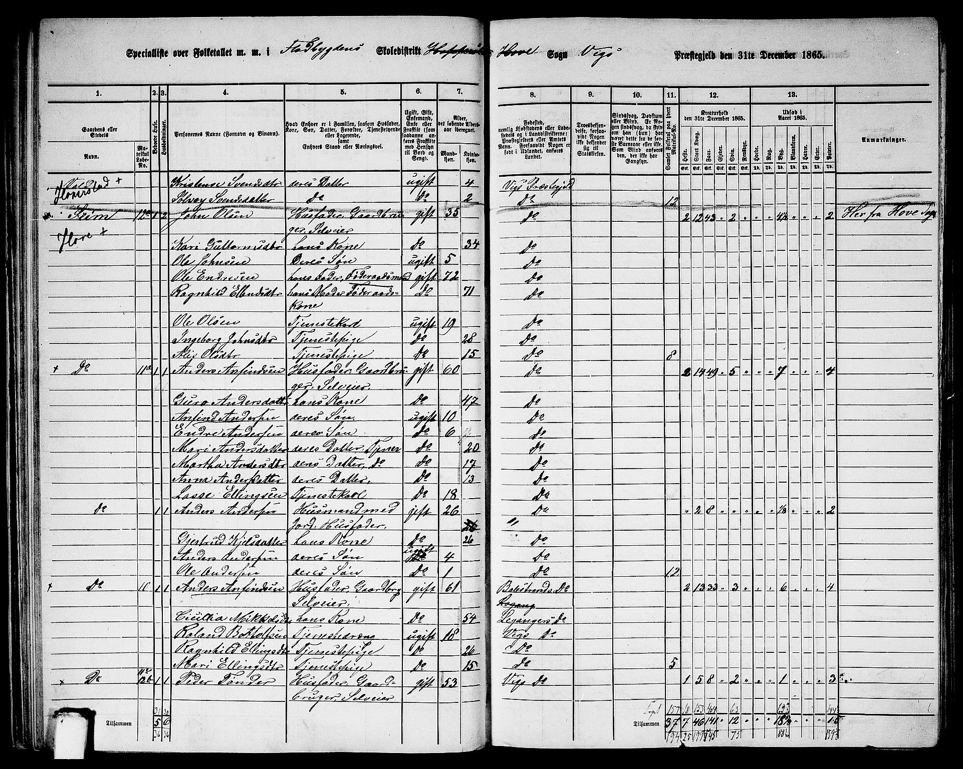 RA, 1865 census for Vik, 1865, p. 38