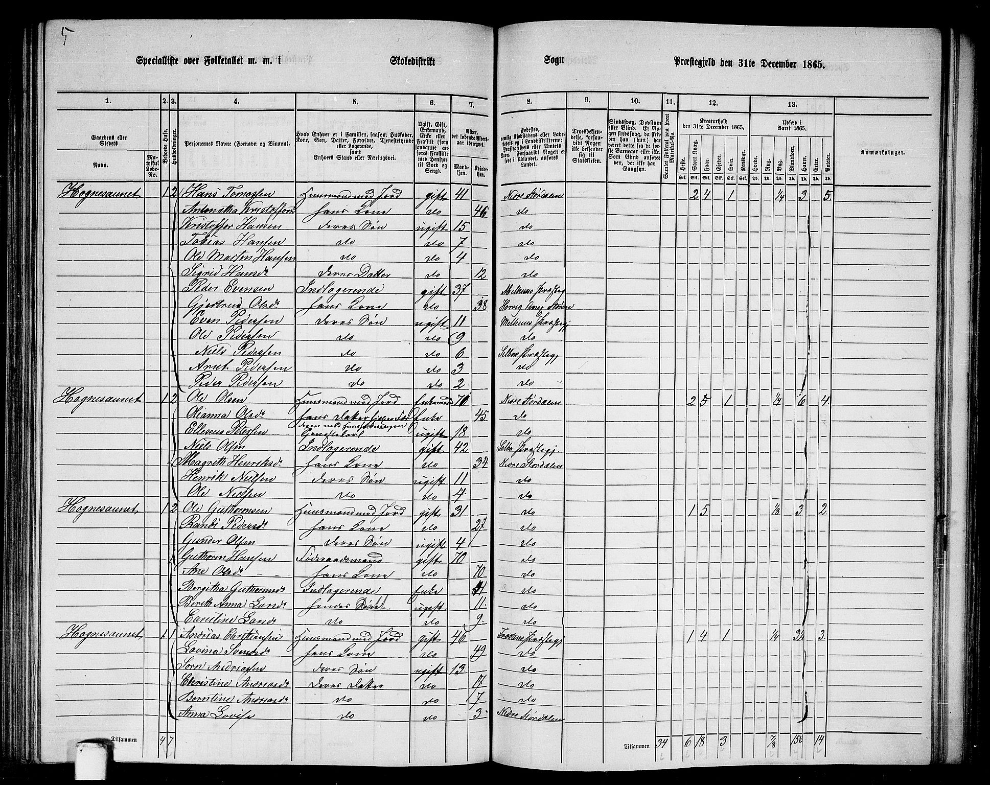 RA, 1865 census for Nedre Stjørdal, 1865, p. 193