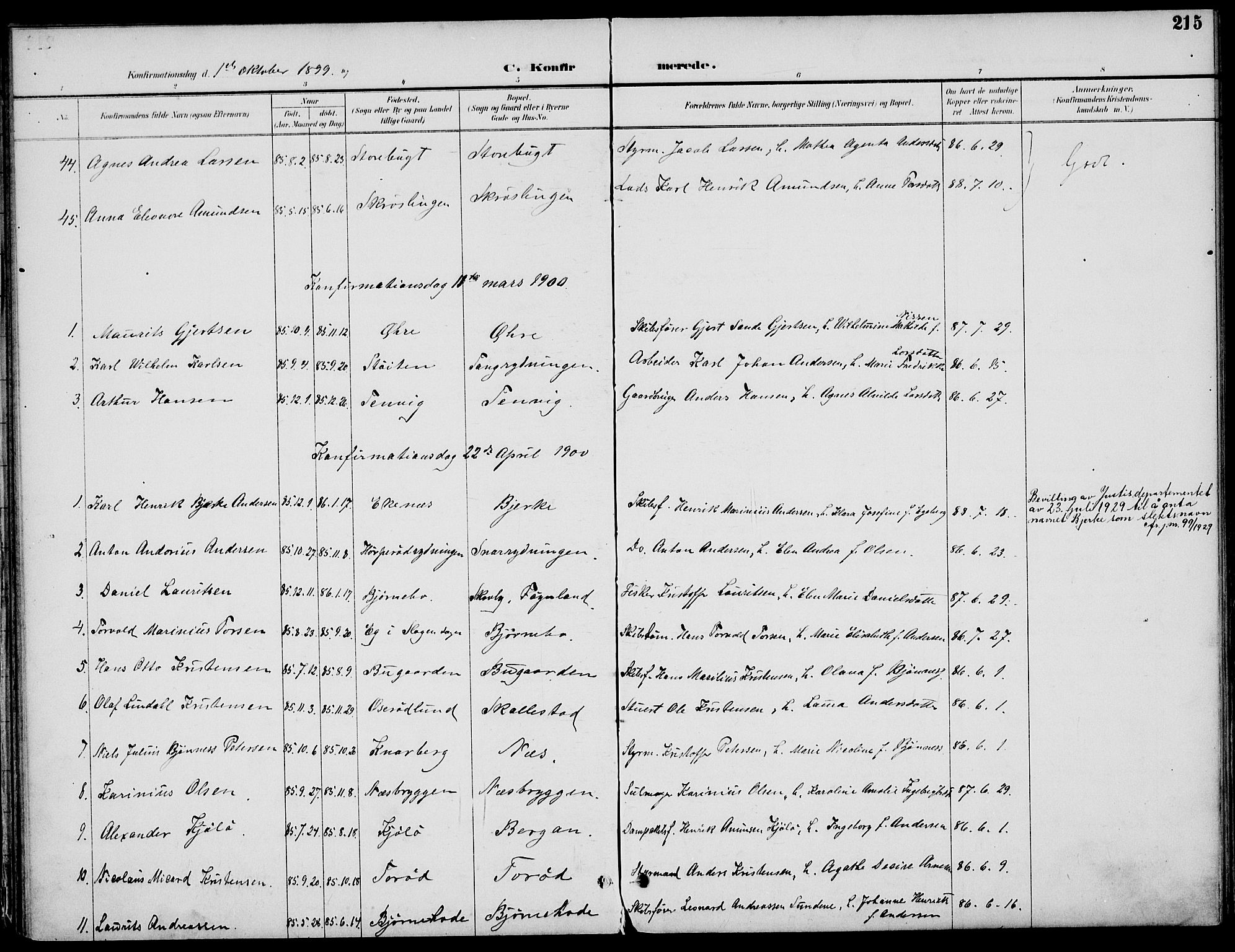 Nøtterøy kirkebøker, AV/SAKO-A-354/F/Fa/L0009: Parish register (official) no. I 9, 1894-1907, p. 215