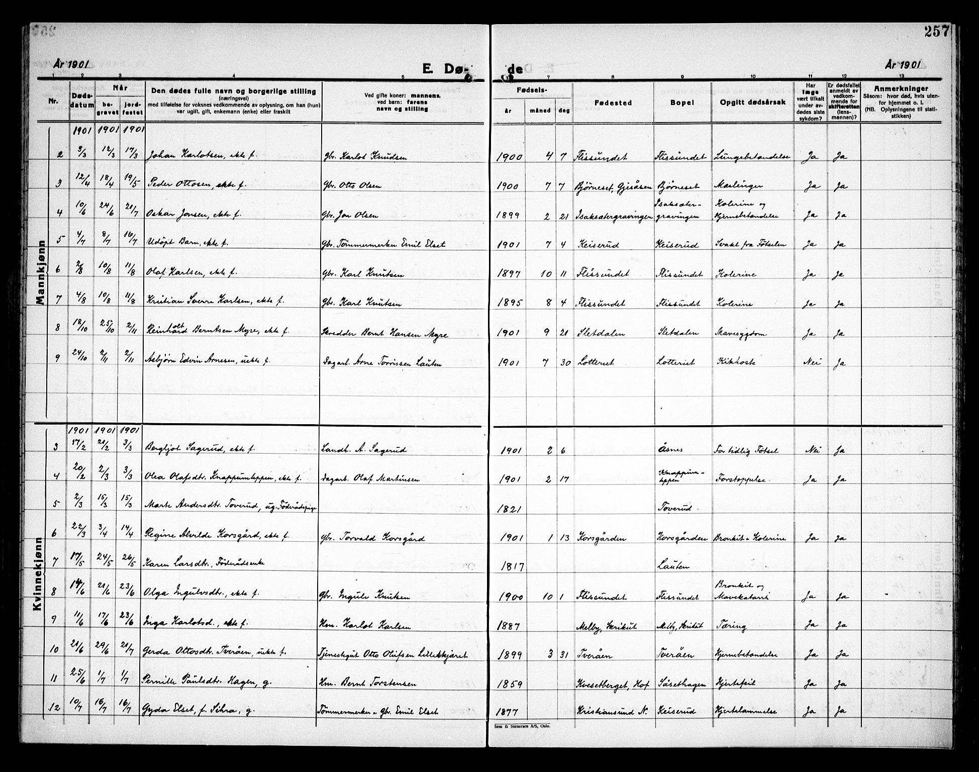 Åsnes prestekontor, SAH/PREST-042/H/Ha/Haa/L0000C: Parish register (official) no. 0A, 1890-1929, p. 257