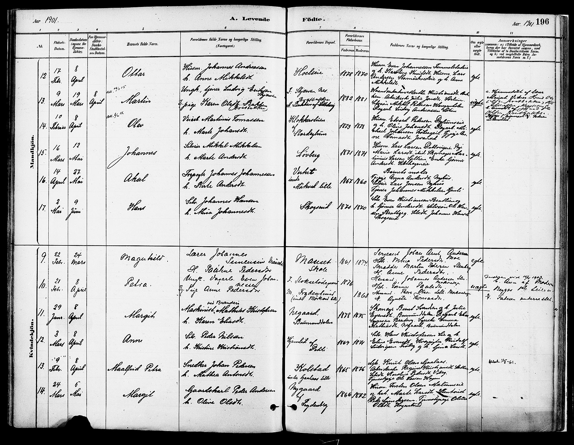 Vang prestekontor, Hedmark, SAH/PREST-008/H/Ha/Haa/L0018A: Parish register (official) no. 18A, 1880-1906, p. 196