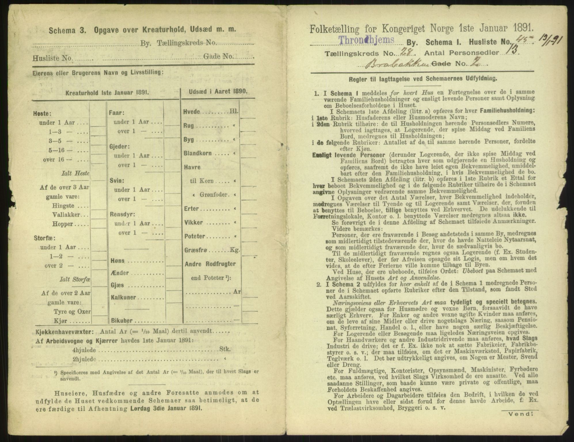 RA, 1891 census for 1601 Trondheim, 1891, p. 2074