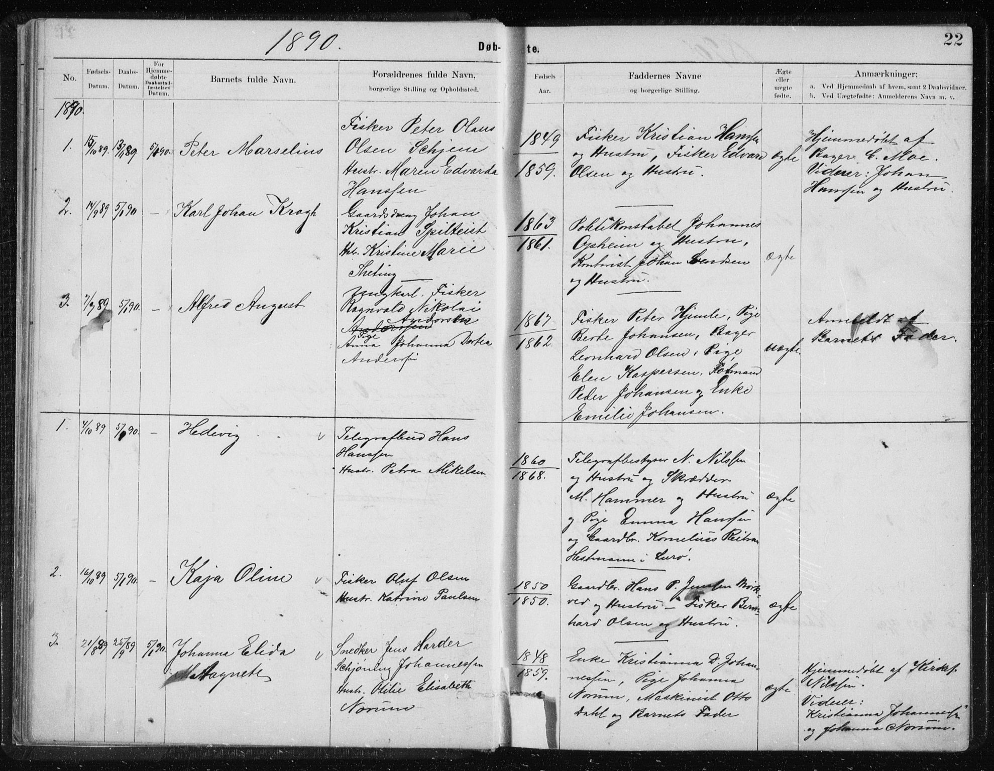 Ministerialprotokoller, klokkerbøker og fødselsregistre - Nordland, AV/SAT-A-1459/801/L0032: Parish register (copy) no. 801C07, 1889-1897, p. 22