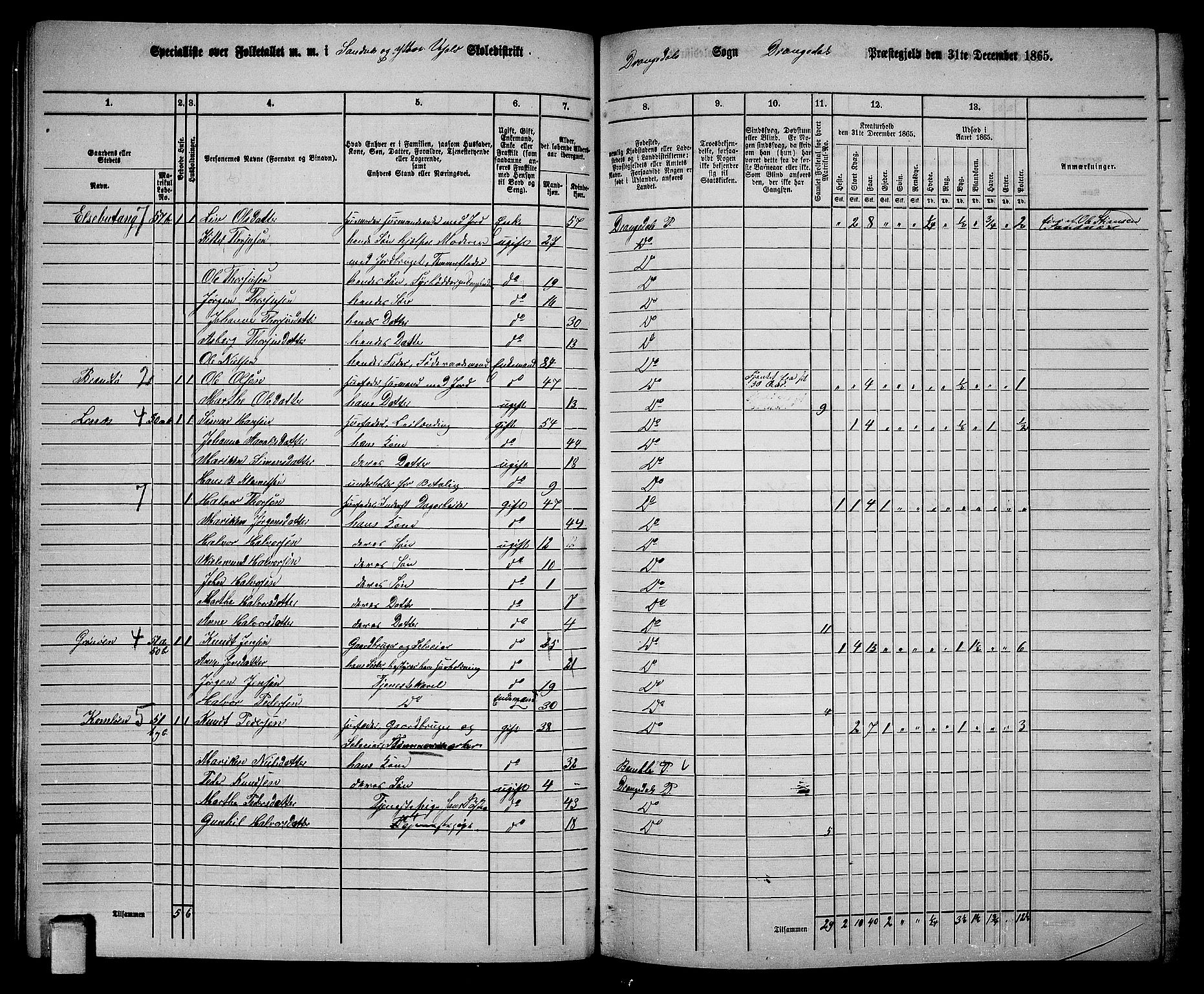 RA, 1865 census for Drangedal, 1865, p. 36