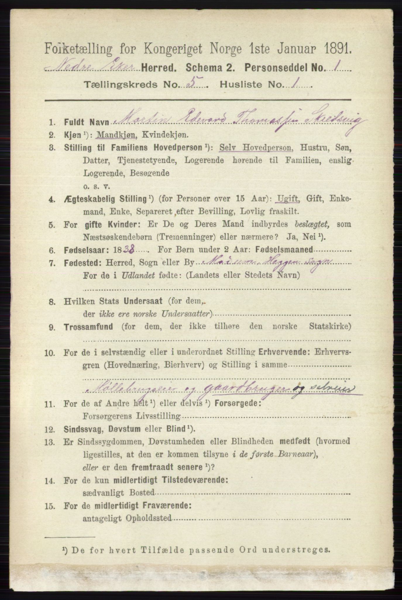 RA, 1891 census for 0625 Nedre Eiker, 1891, p. 2336