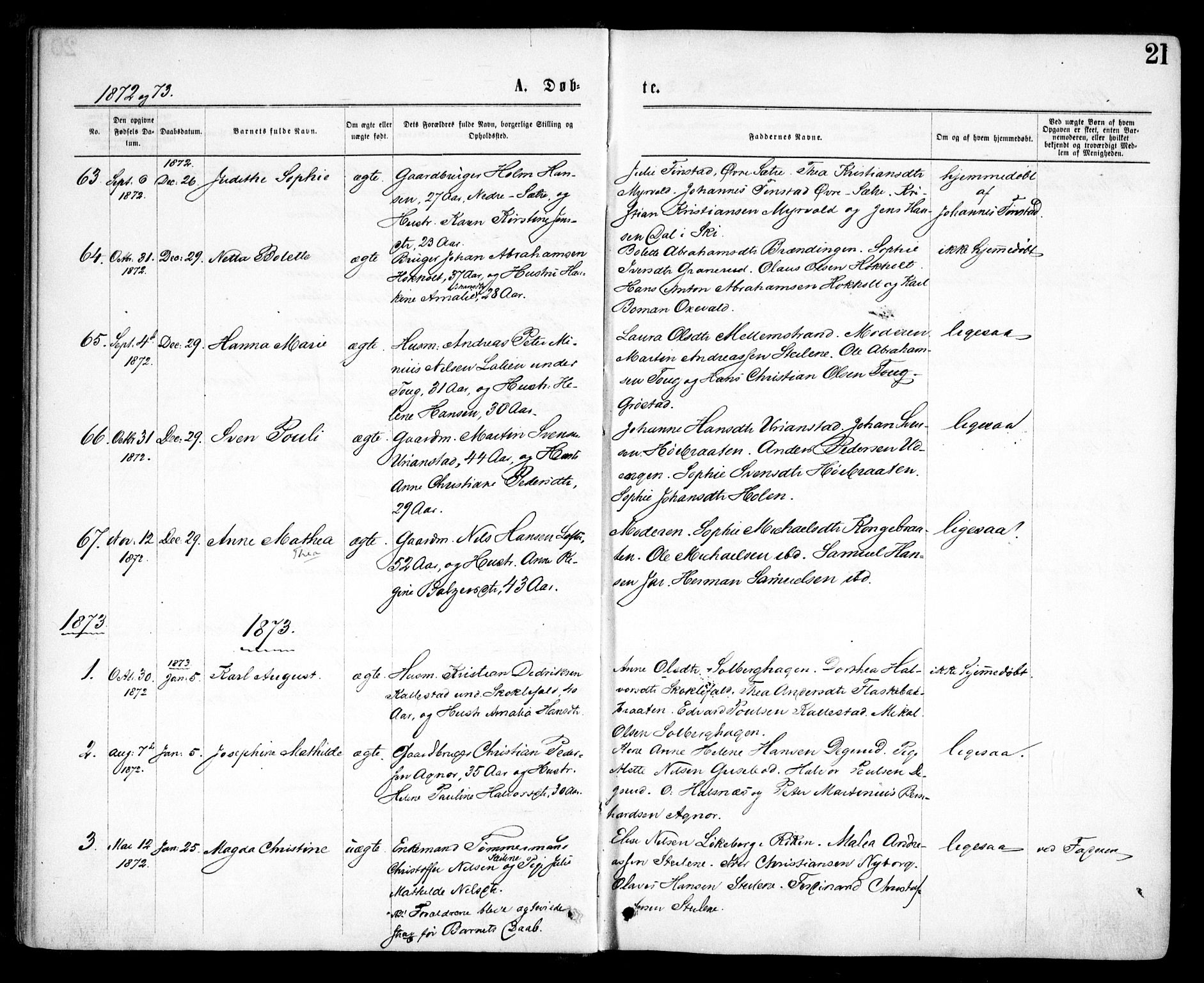 Nesodden prestekontor Kirkebøker, AV/SAO-A-10013/F/Fa/L0008: Parish register (official) no. I 8, 1869-1879, p. 21