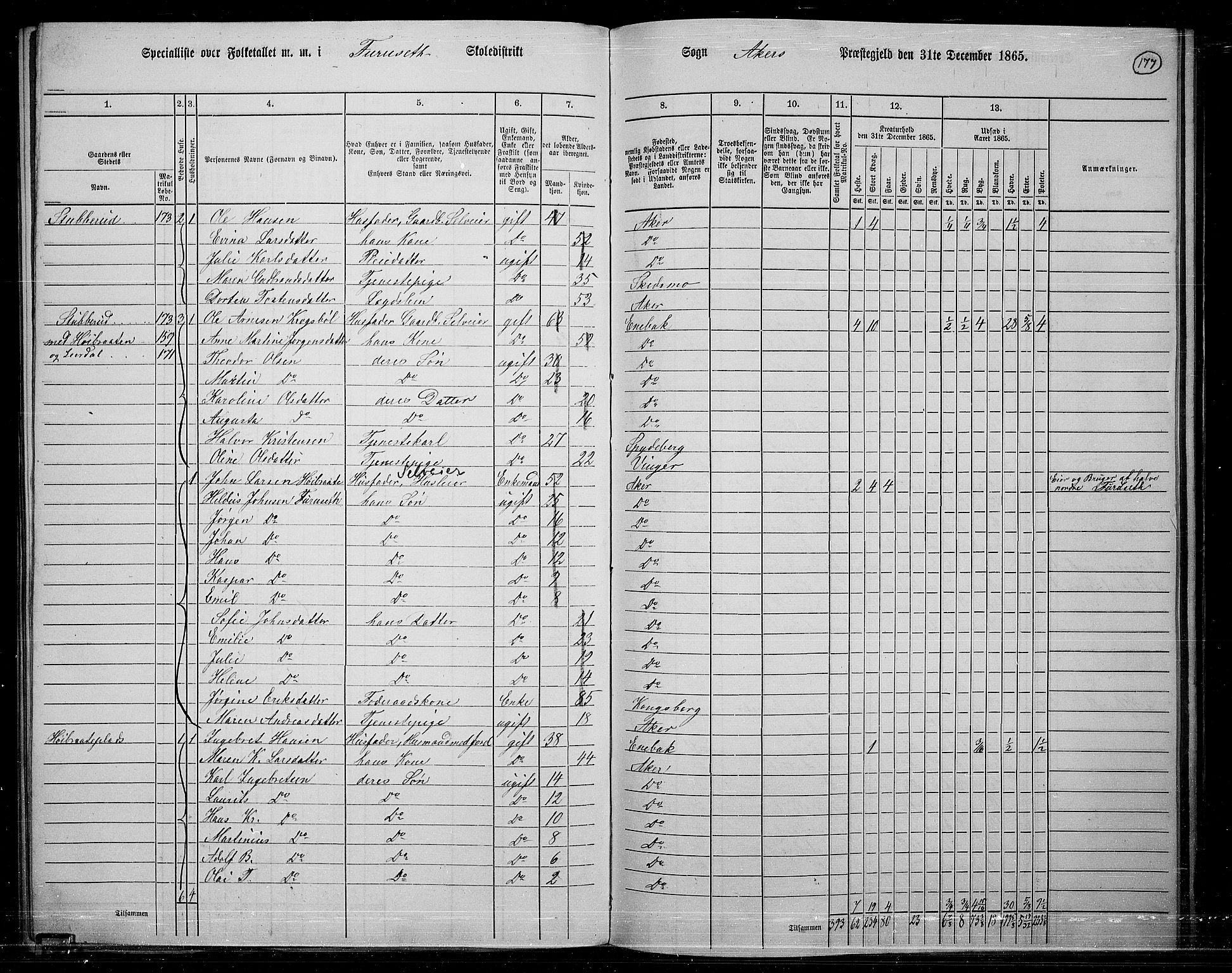 RA, 1865 census for Østre Aker, 1865, p. 166