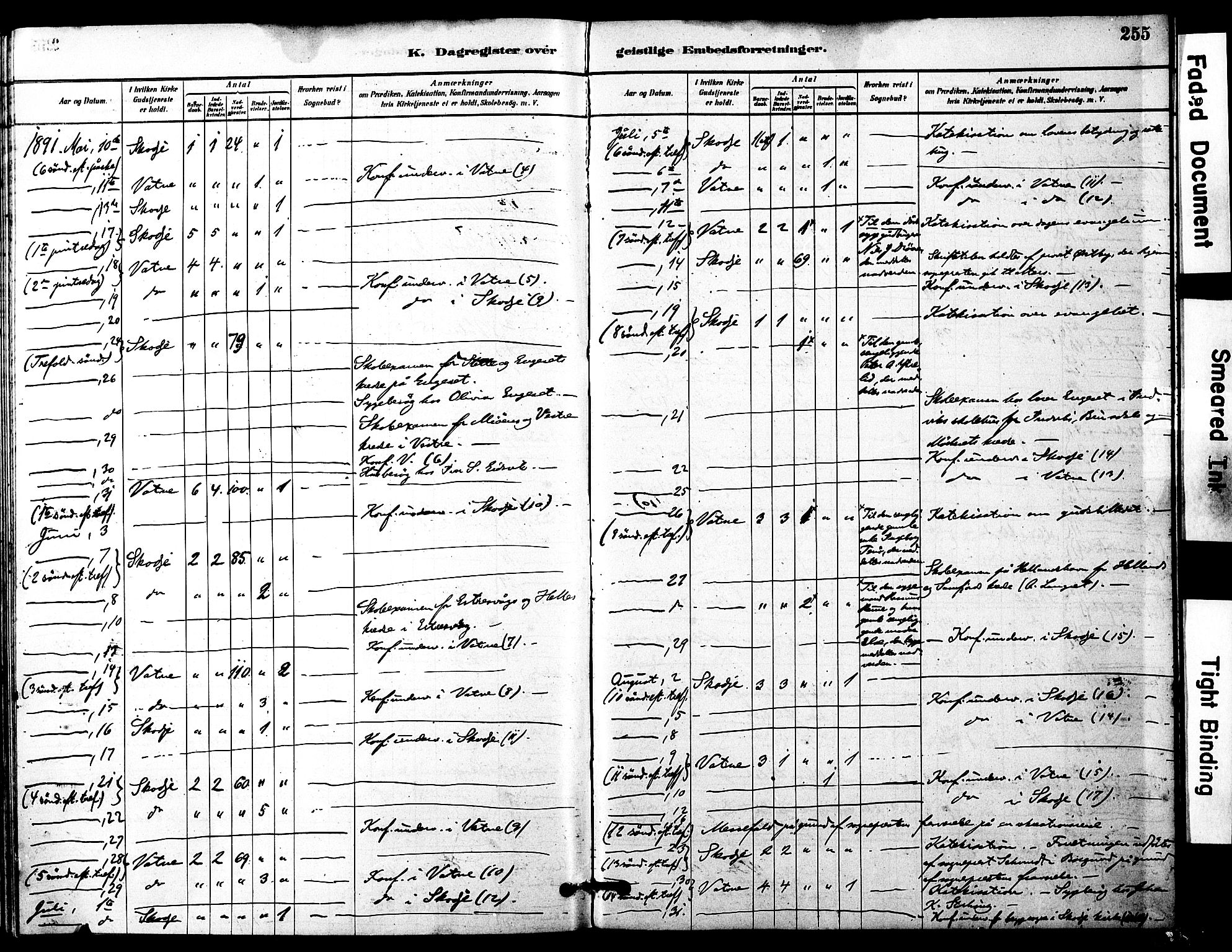 Ministerialprotokoller, klokkerbøker og fødselsregistre - Møre og Romsdal, AV/SAT-A-1454/525/L0374: Parish register (official) no. 525A04, 1880-1899, p. 255