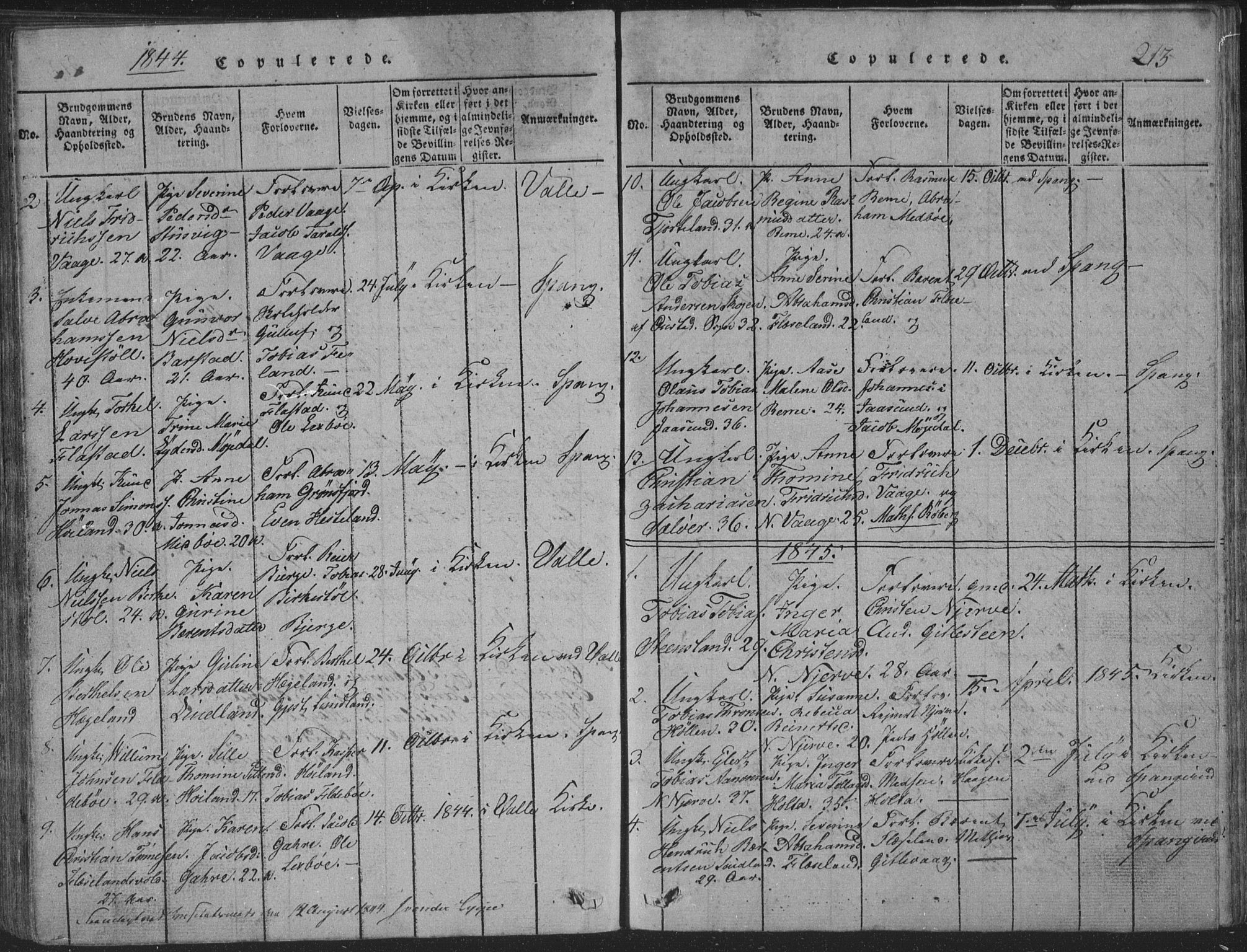 Sør-Audnedal sokneprestkontor, AV/SAK-1111-0039/F/Fb/Fba/L0001: Parish register (copy) no. B 1, 1815-1850, p. 213