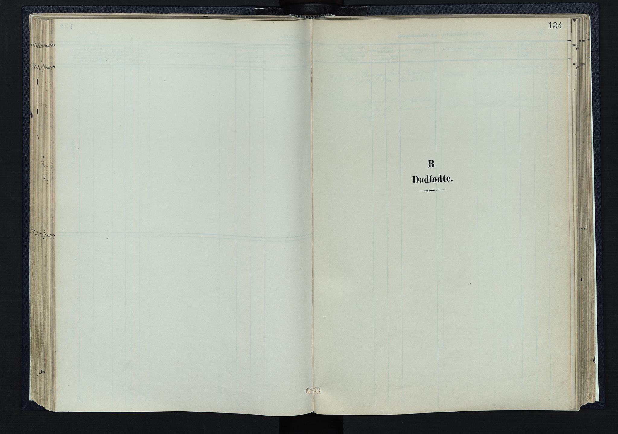 Tynset prestekontor, SAH/PREST-058/H/Ha/Haa/L0025: Parish register (official) no. 25, 1900-1914, p. 134
