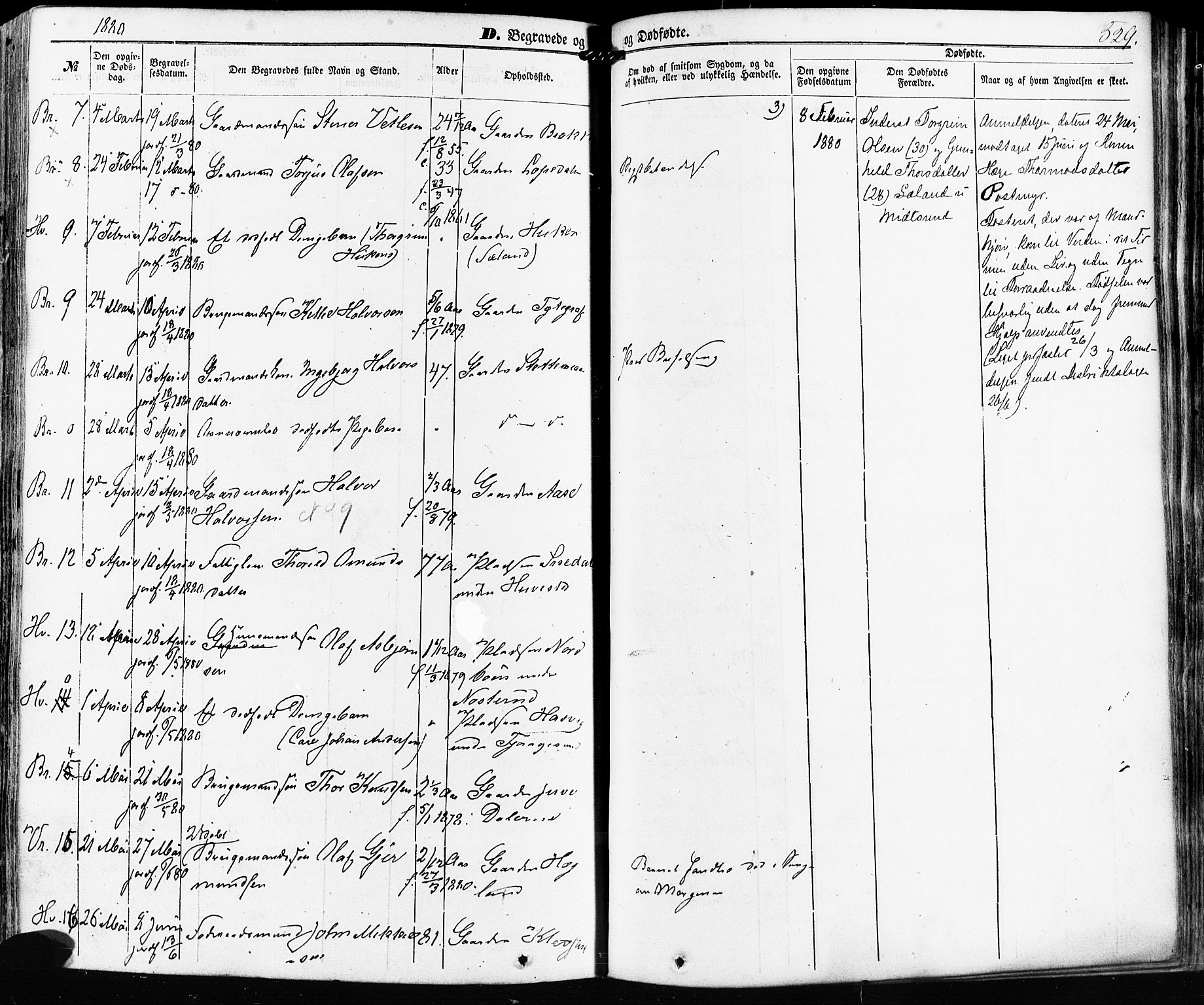 Kviteseid kirkebøker, AV/SAKO-A-276/F/Fa/L0007: Parish register (official) no. I 7, 1859-1881, p. 529