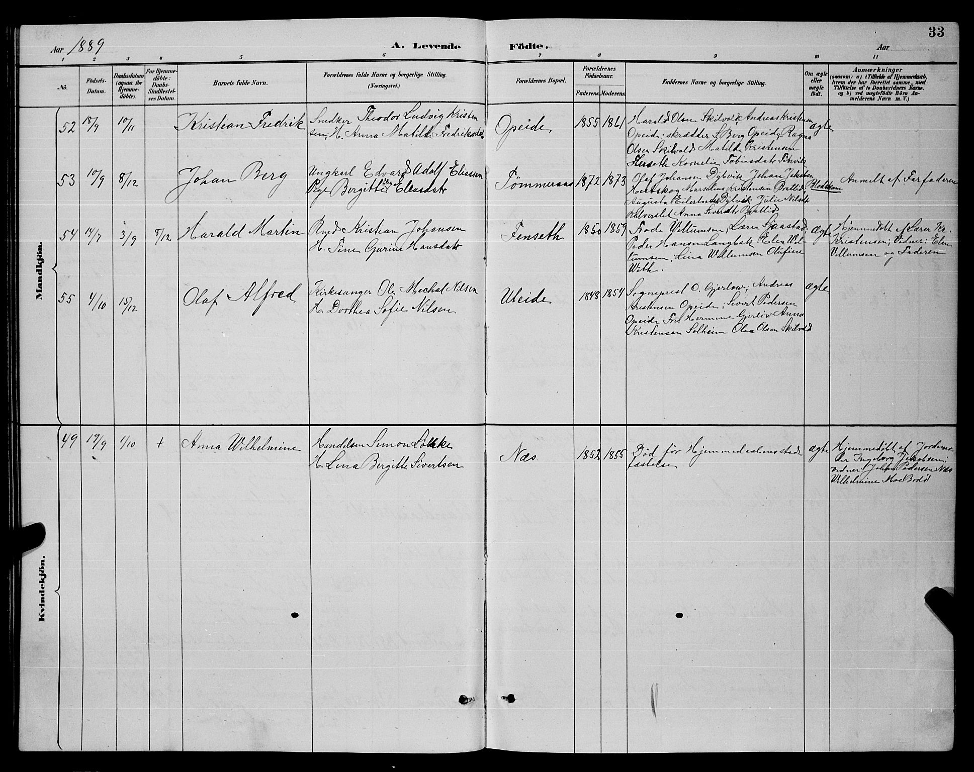Ministerialprotokoller, klokkerbøker og fødselsregistre - Nordland, SAT/A-1459/859/L0859: Parish register (copy) no. 859C05, 1887-1898, p. 33