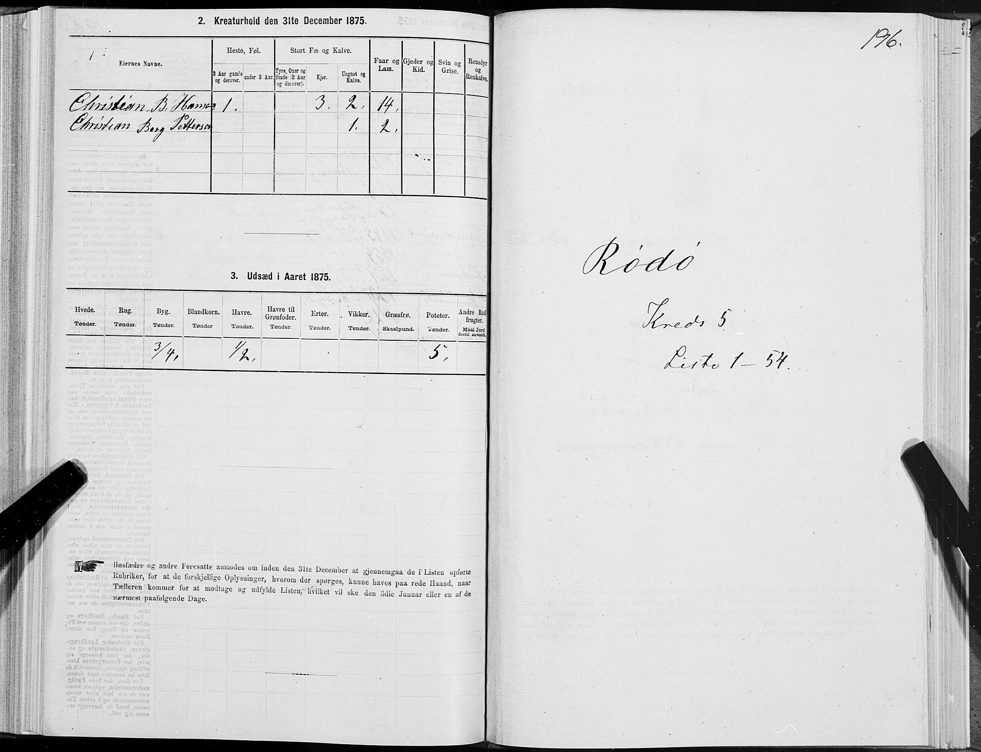 SAT, 1875 census for 1836P Rødøy, 1875, p. 2196