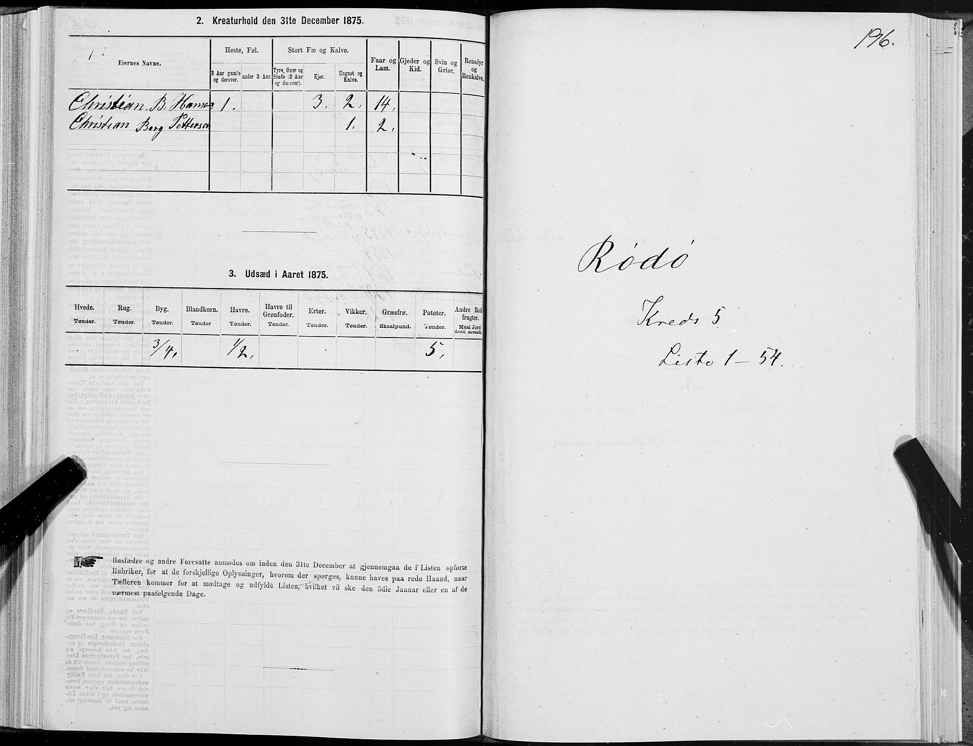 SAT, 1875 census for 1836P Rødøy, 1875, p. 2196