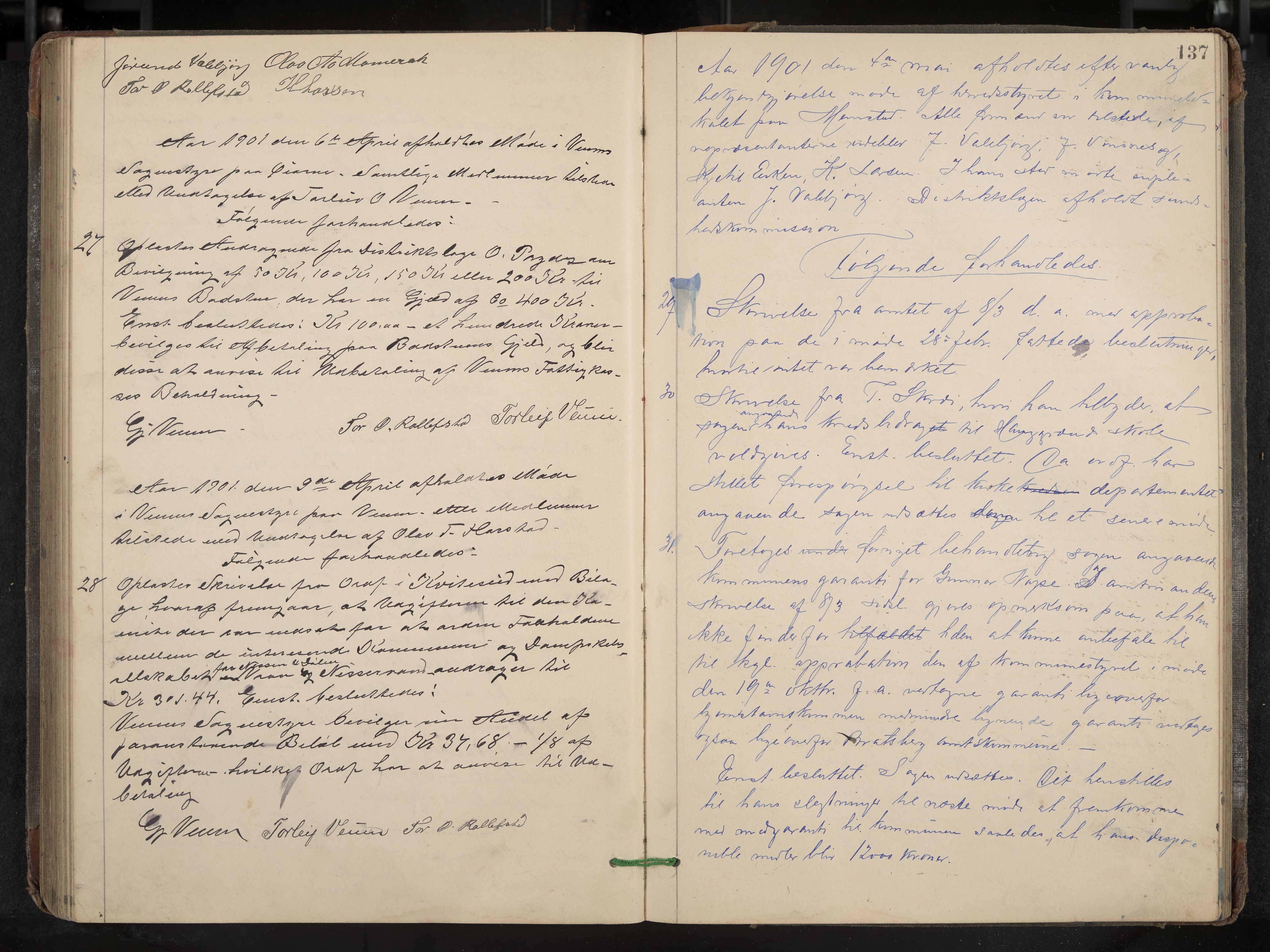 Fyresdal formannskap og sentraladministrasjon, IKAK/0831021-1/Aa/L0003: Møtebok, 1894-1903, p. 137