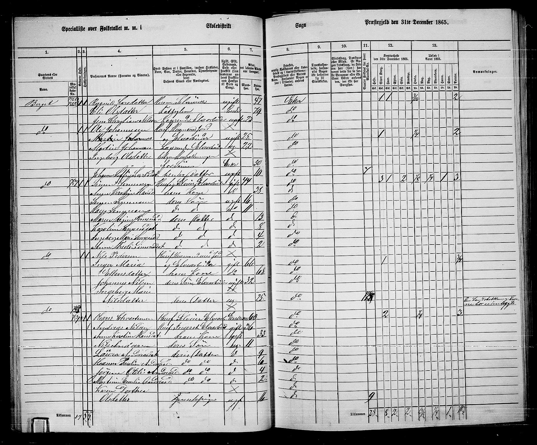 RA, 1865 census for Eiker, 1865, p. 318