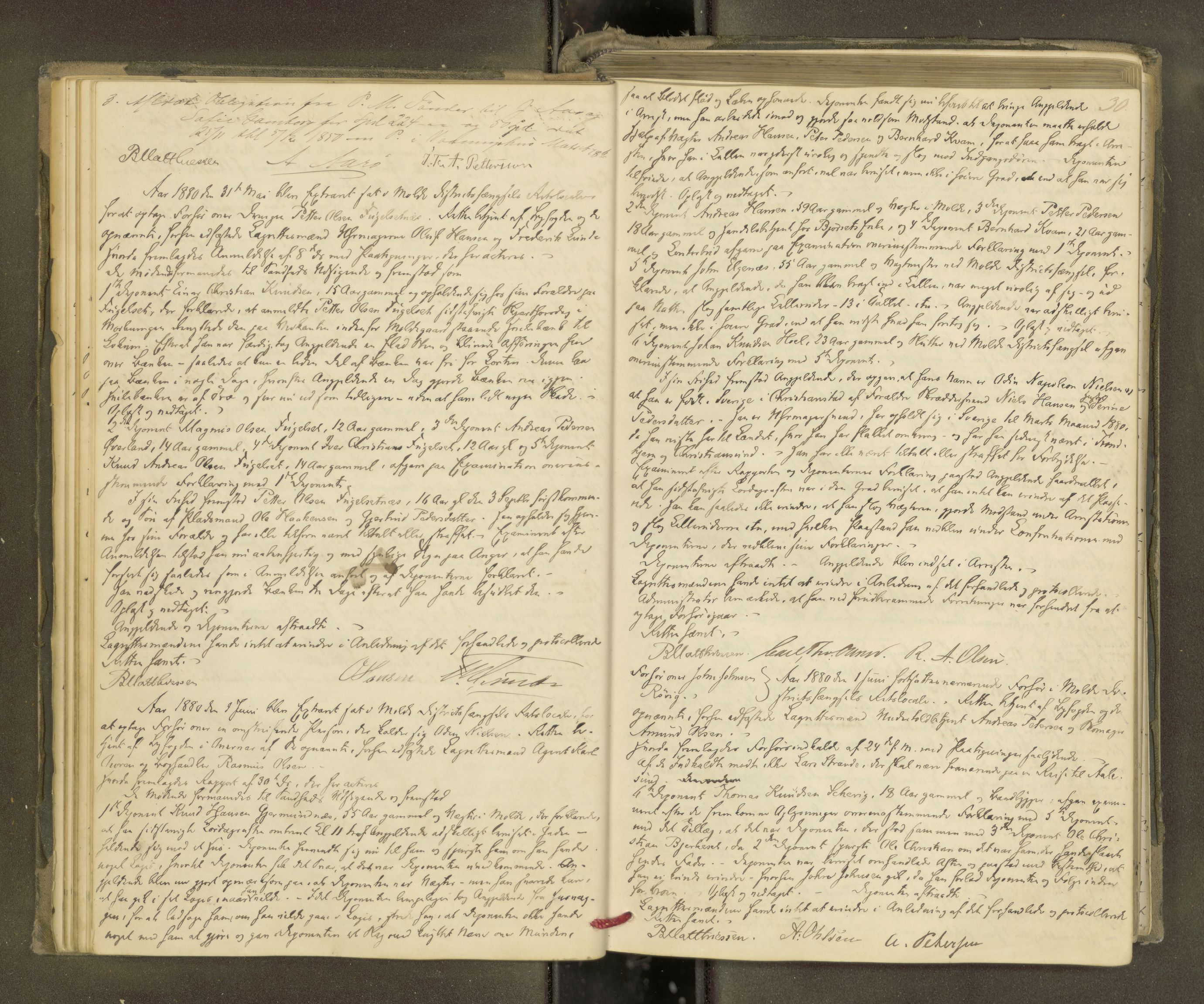 Molde byfogd, AV/SAT-A-0025/1/1A/L0012: Justisprotokoll, 1879-1890, p. 29b-30a