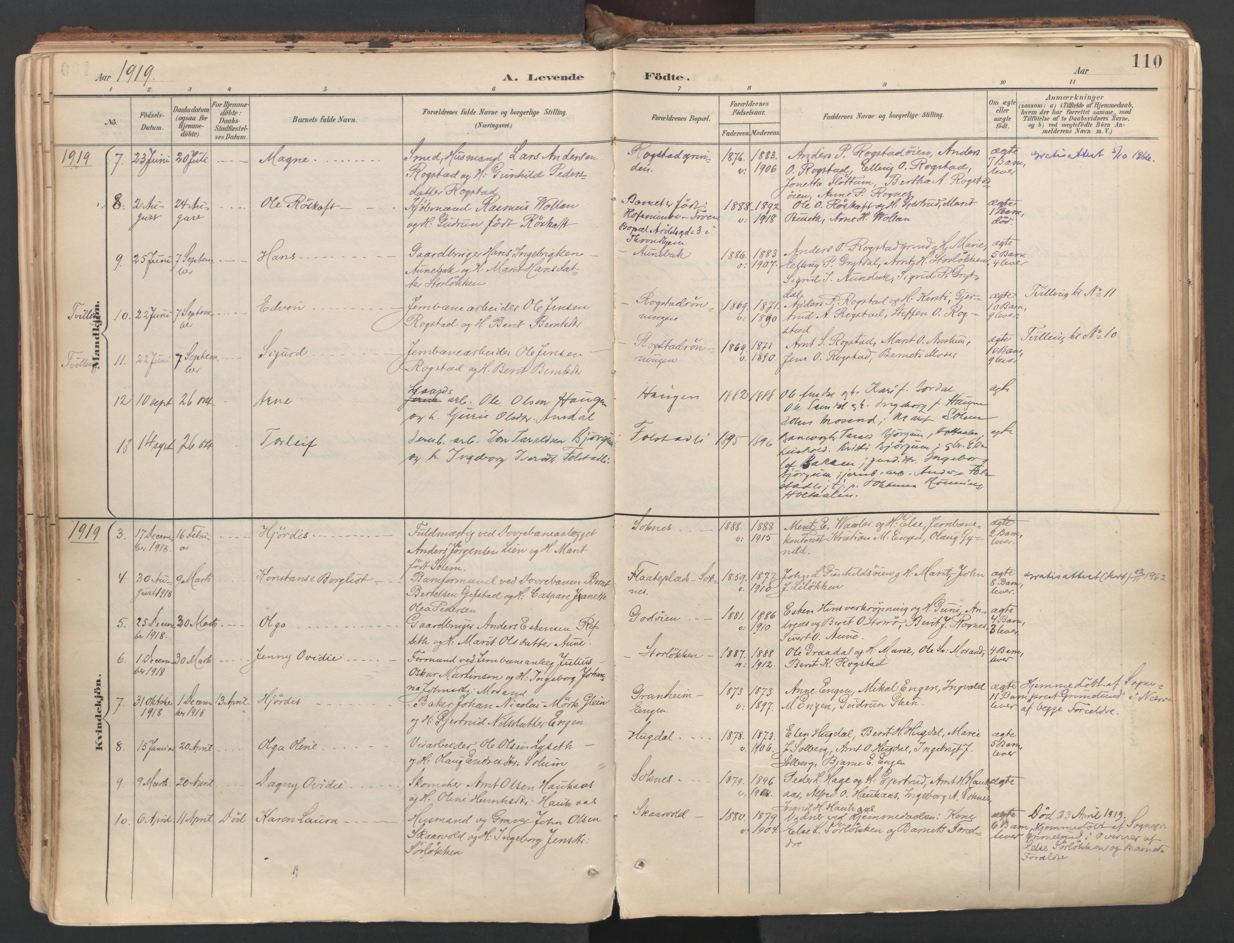 Ministerialprotokoller, klokkerbøker og fødselsregistre - Sør-Trøndelag, SAT/A-1456/687/L1004: Parish register (official) no. 687A10, 1891-1923, p. 110