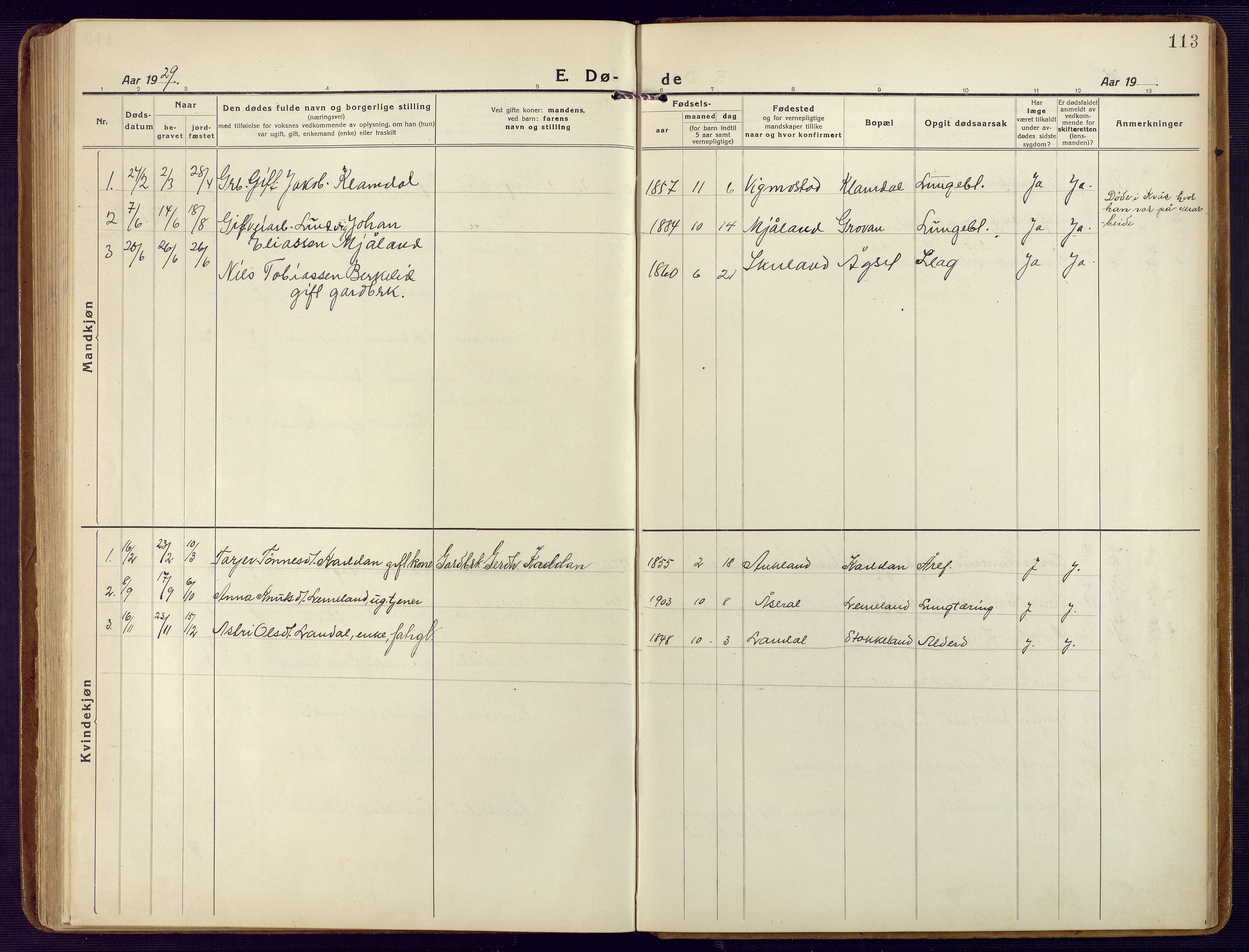Holum sokneprestkontor, SAK/1111-0022/F/Fb/Fbb/L0005: Parish register (copy) no. B 5, 1920-1945, p. 113