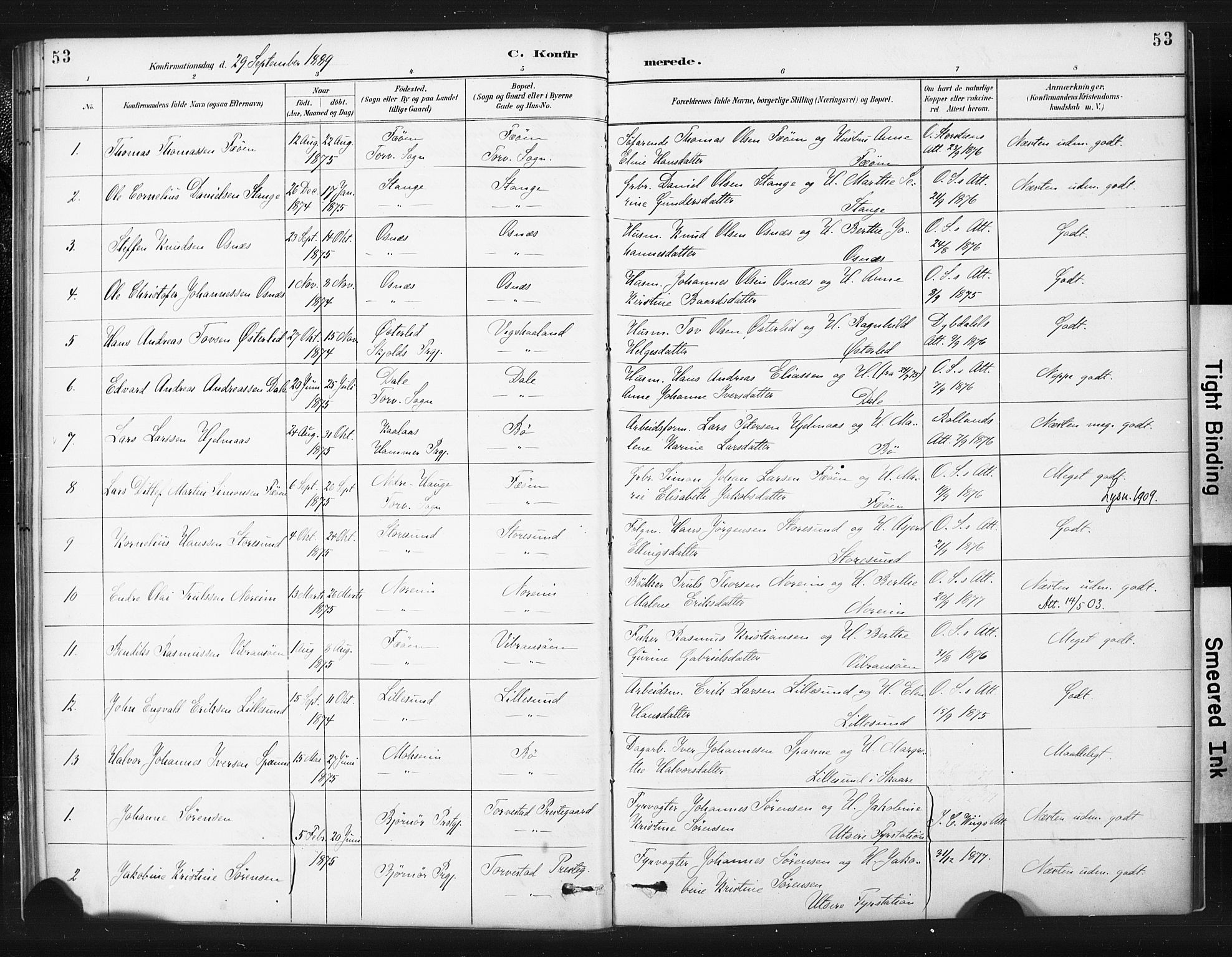 Torvastad sokneprestkontor, AV/SAST-A -101857/H/Ha/Haa/L0015: Parish register (official) no. A 14, 1888-1899, p. 53