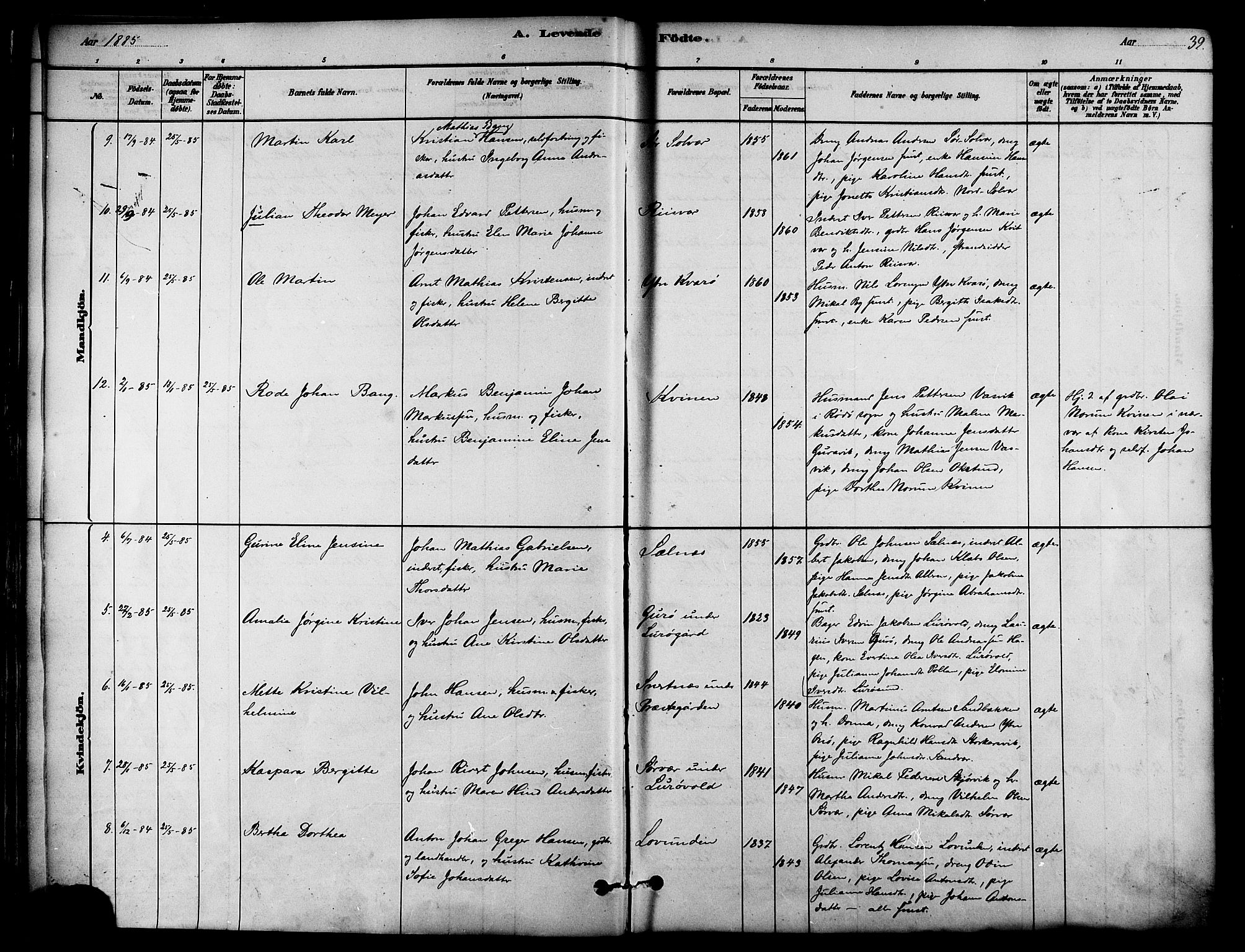 Ministerialprotokoller, klokkerbøker og fødselsregistre - Nordland, AV/SAT-A-1459/839/L0568: Parish register (official) no. 839A05, 1880-1902, p. 39