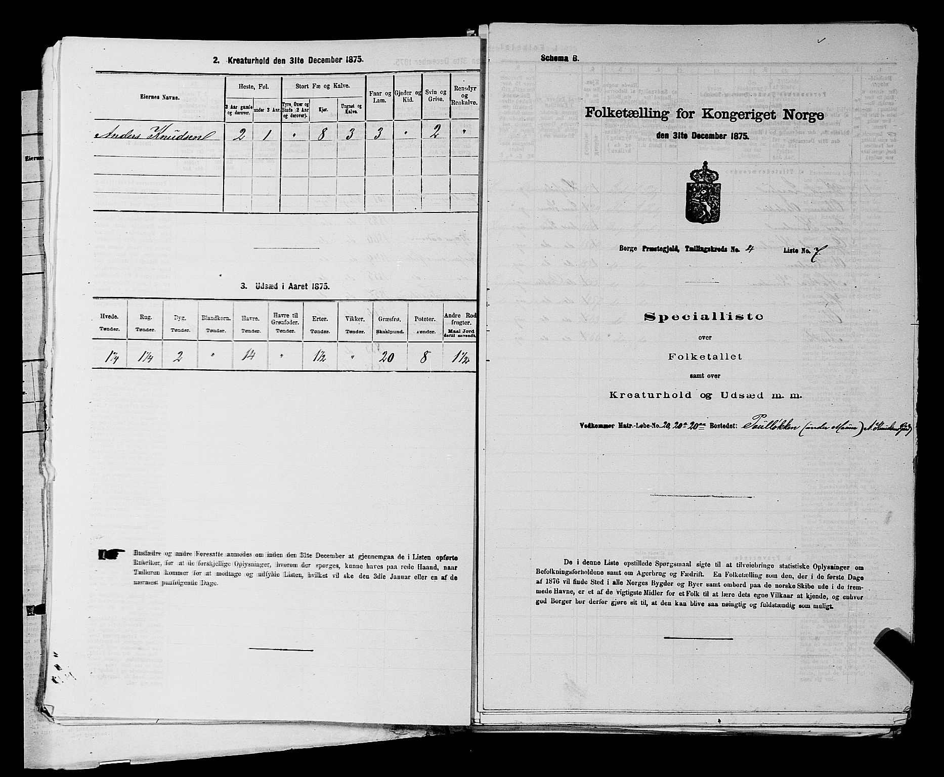 RA, 1875 census for 0113P Borge, 1875, p. 529