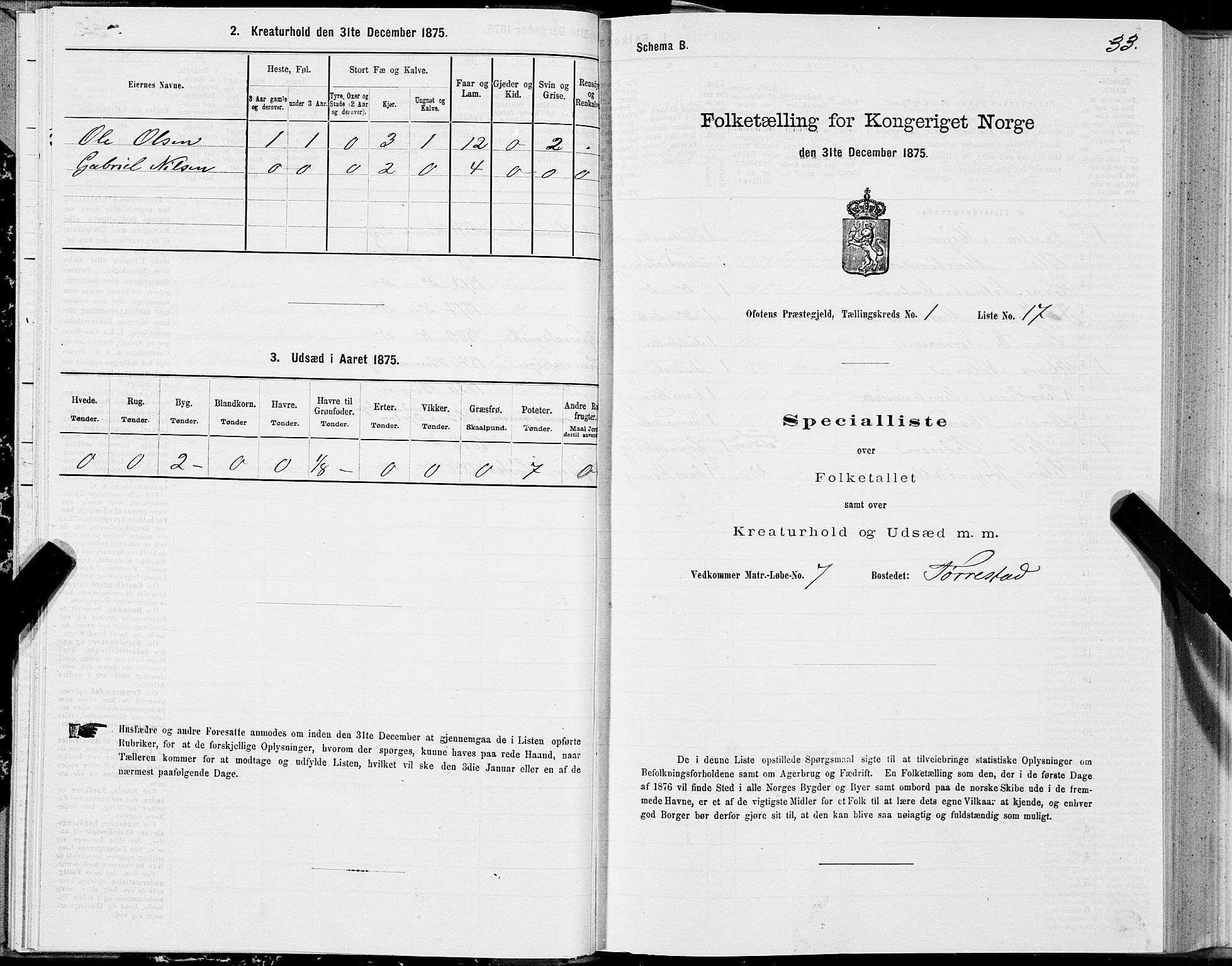 SAT, 1875 census for 1853P Ofoten, 1875, p. 1033