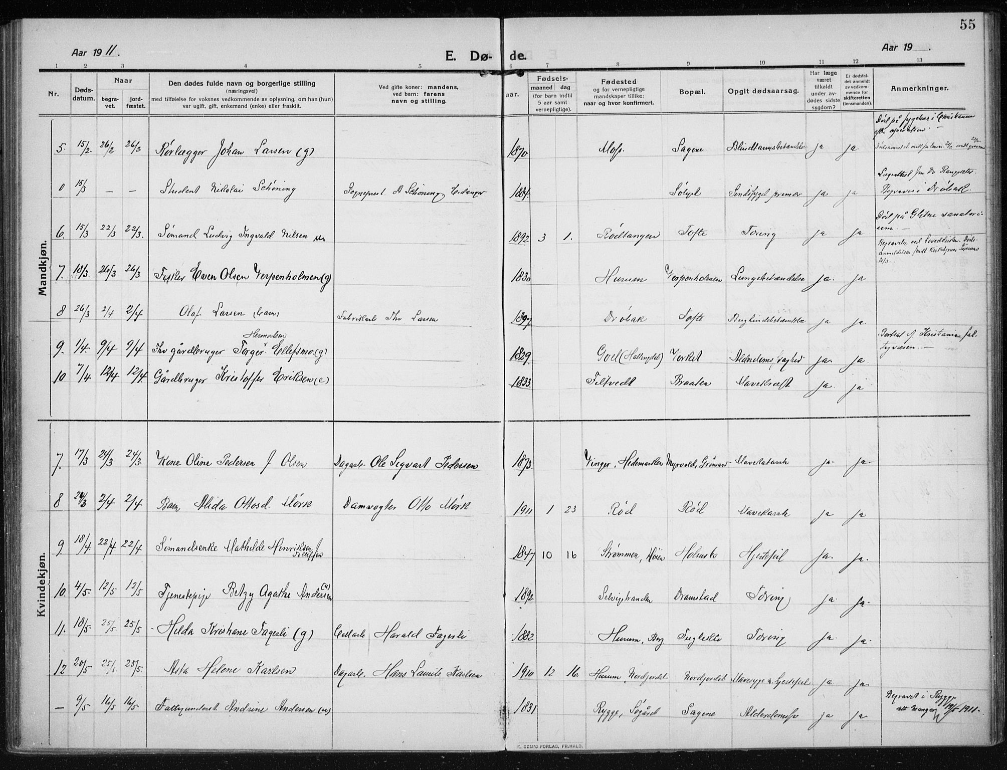 Hurum kirkebøker, AV/SAKO-A-229/F/Fa/L0017: Parish register (official) no. 17, 1910-1925, p. 55