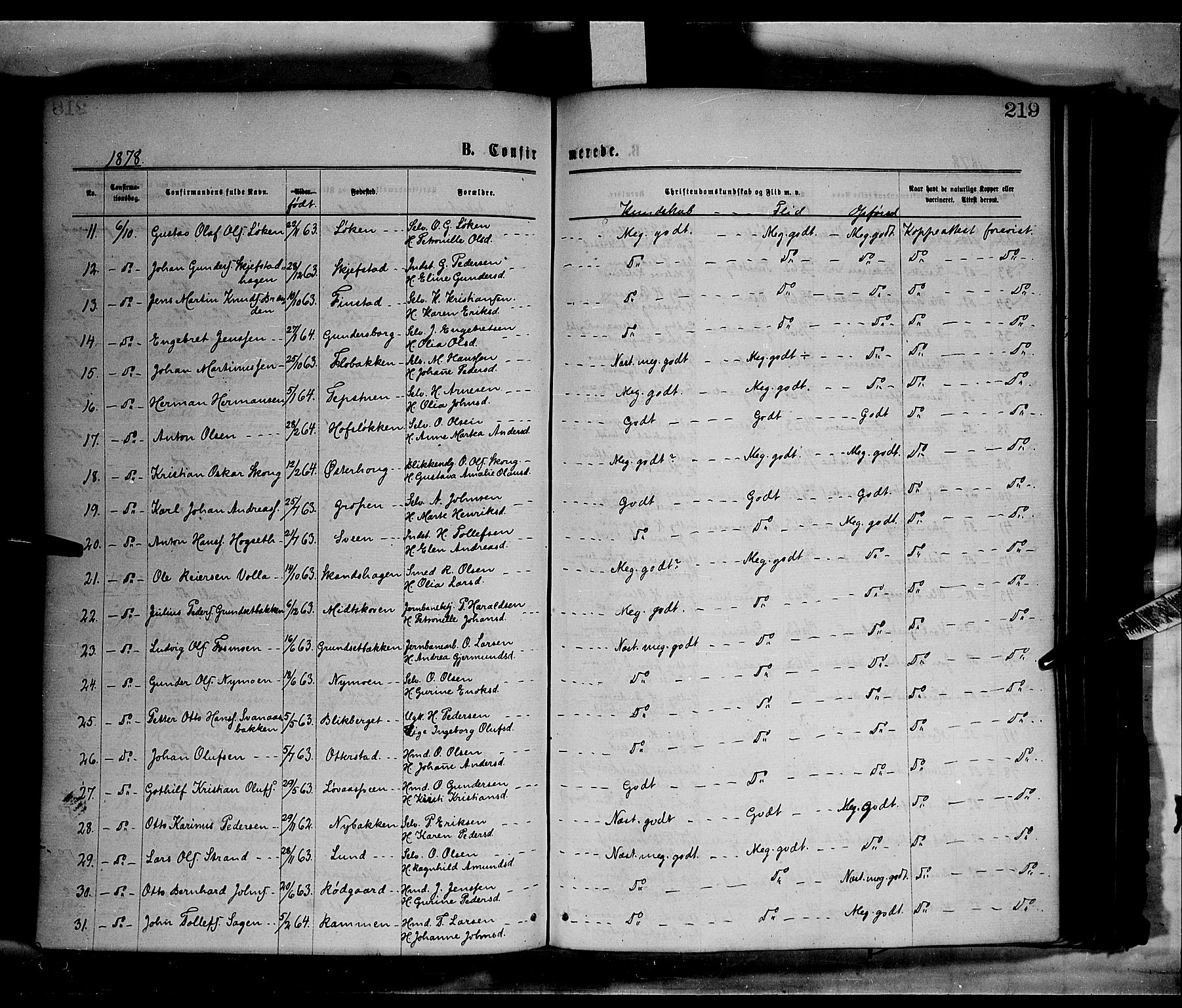 Elverum prestekontor, AV/SAH-PREST-044/H/Ha/Haa/L0011: Parish register (official) no. 11, 1869-1879, p. 219