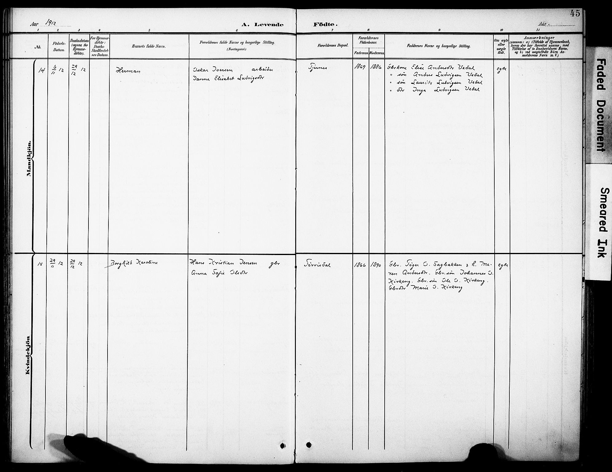 Rakkestad prestekontor Kirkebøker, AV/SAO-A-2008/F/Fb/L0002: Parish register (official) no. II 2, 1900-1920, p. 45