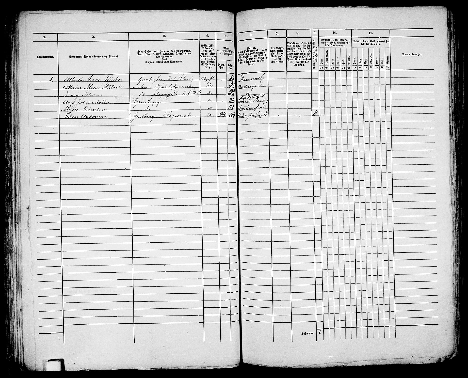 RA, 1865 census for Kristiansand, 1865, p. 96