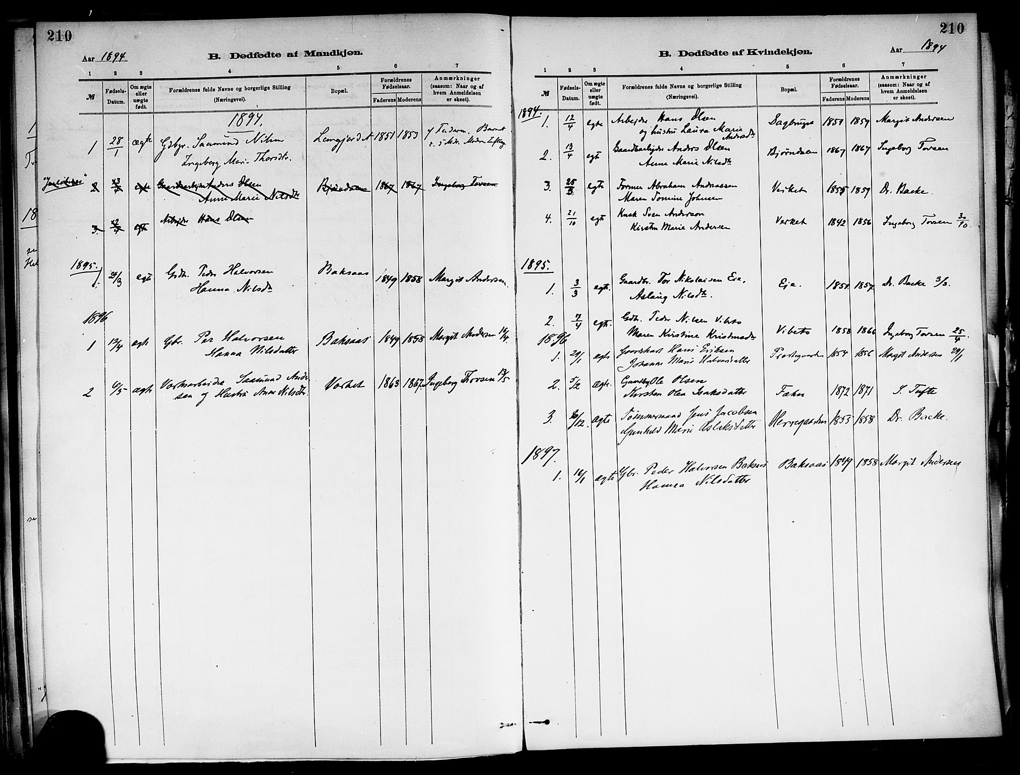 Holla kirkebøker, AV/SAKO-A-272/F/Fa/L0008: Parish register (official) no. 8, 1882-1897, p. 210